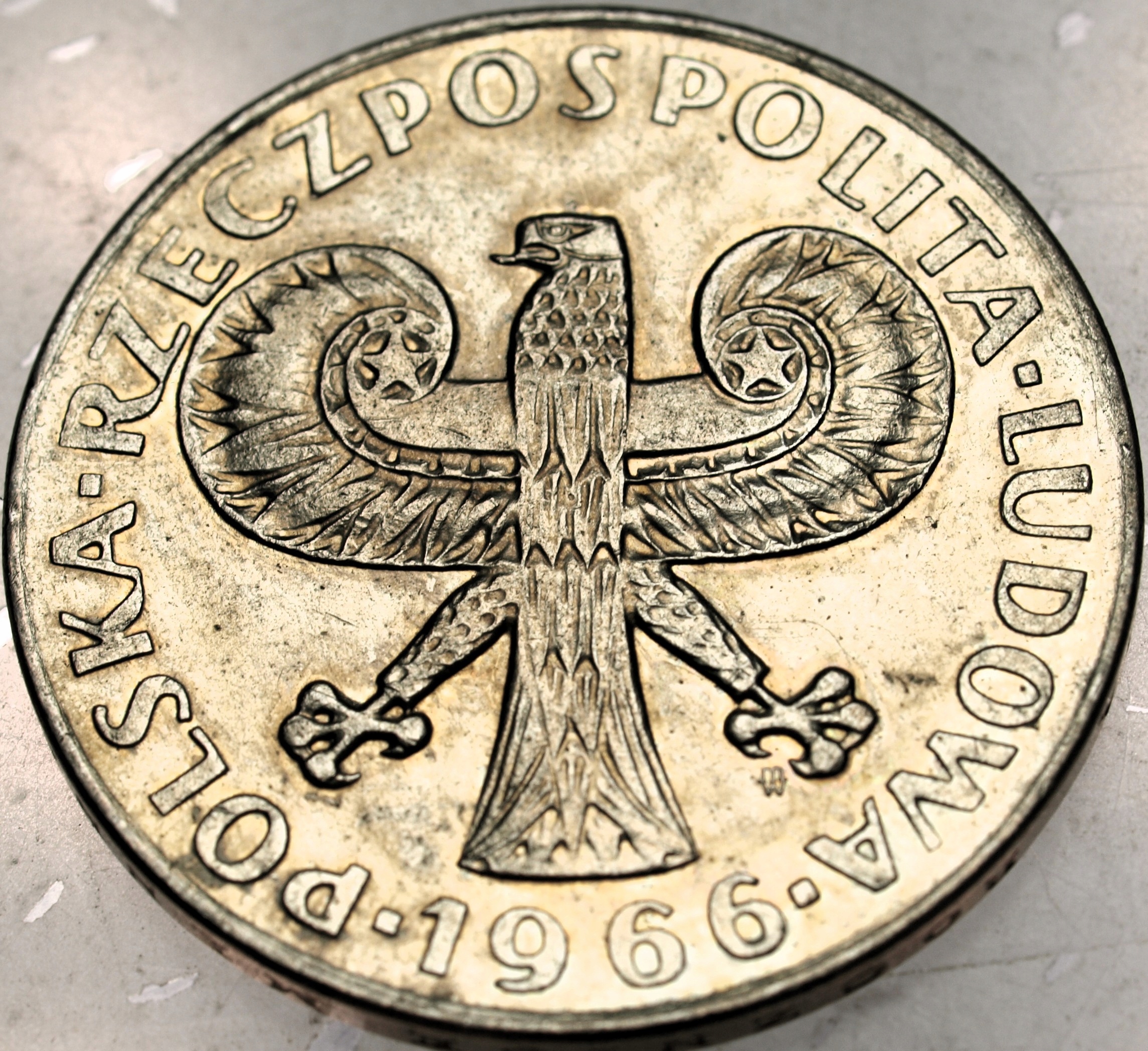 Zdjęcie 18469393312_1