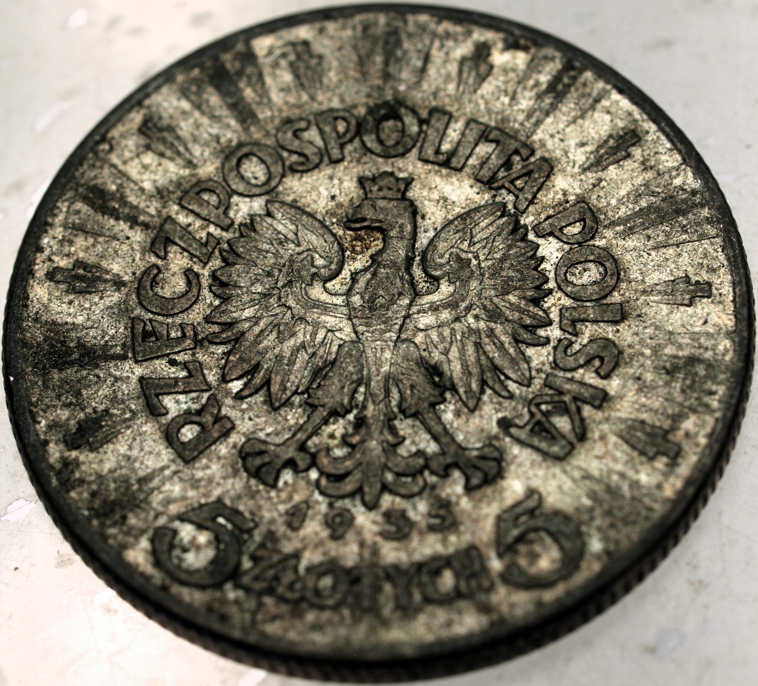 Zdjęcie 18469572597_1