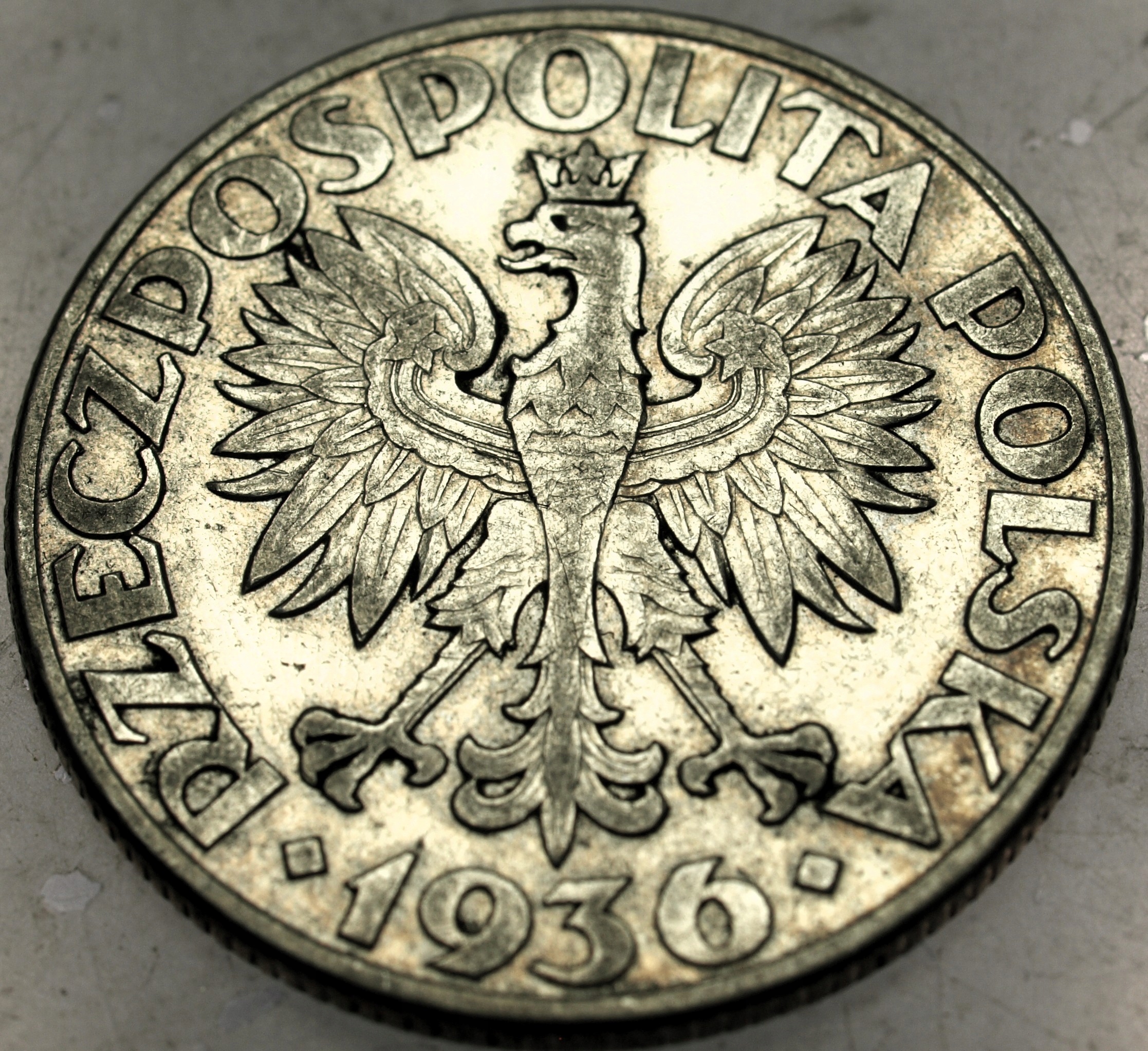 Zdjęcie 18469711170_1