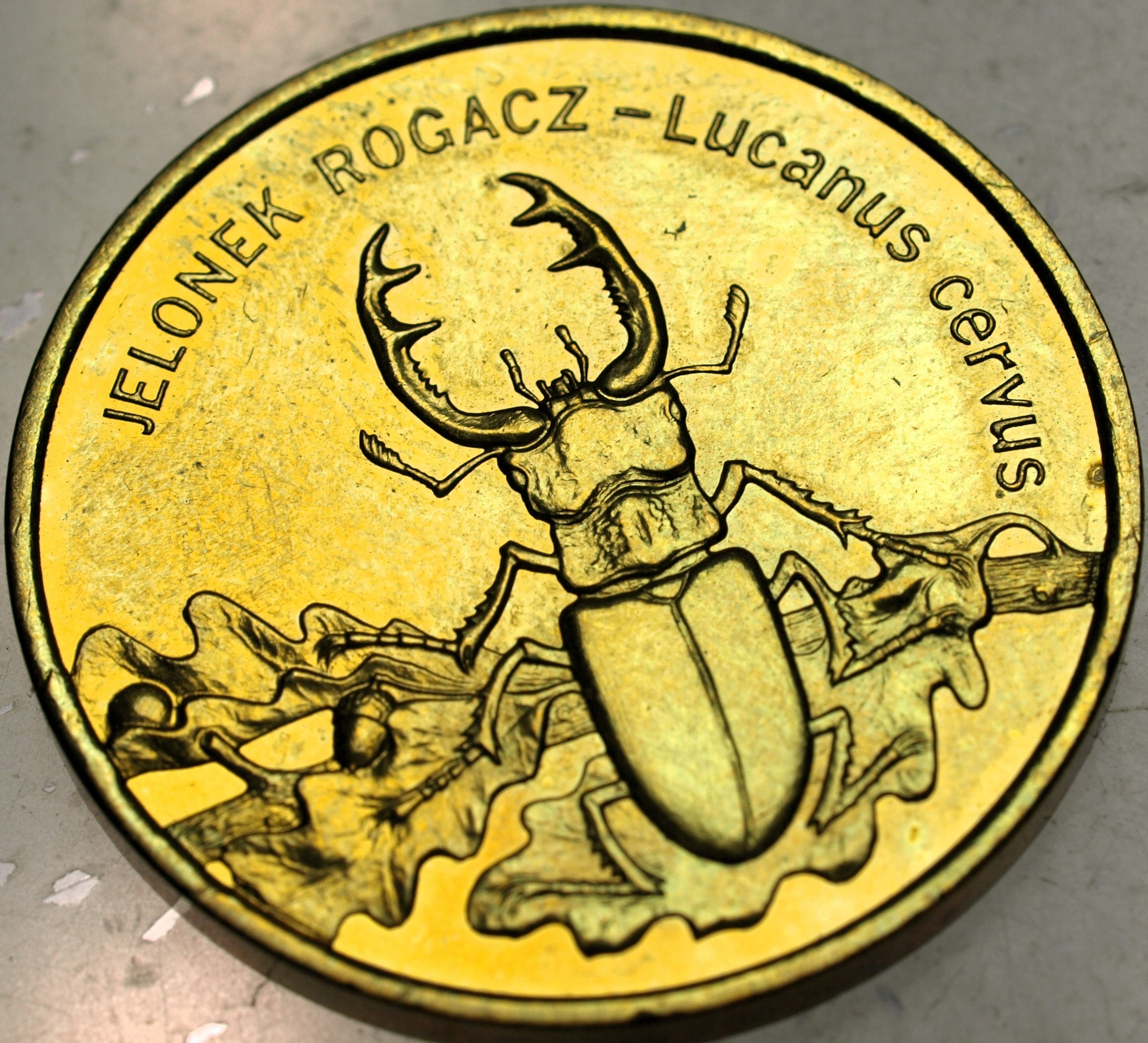 Zdjęcie 18469715733_0