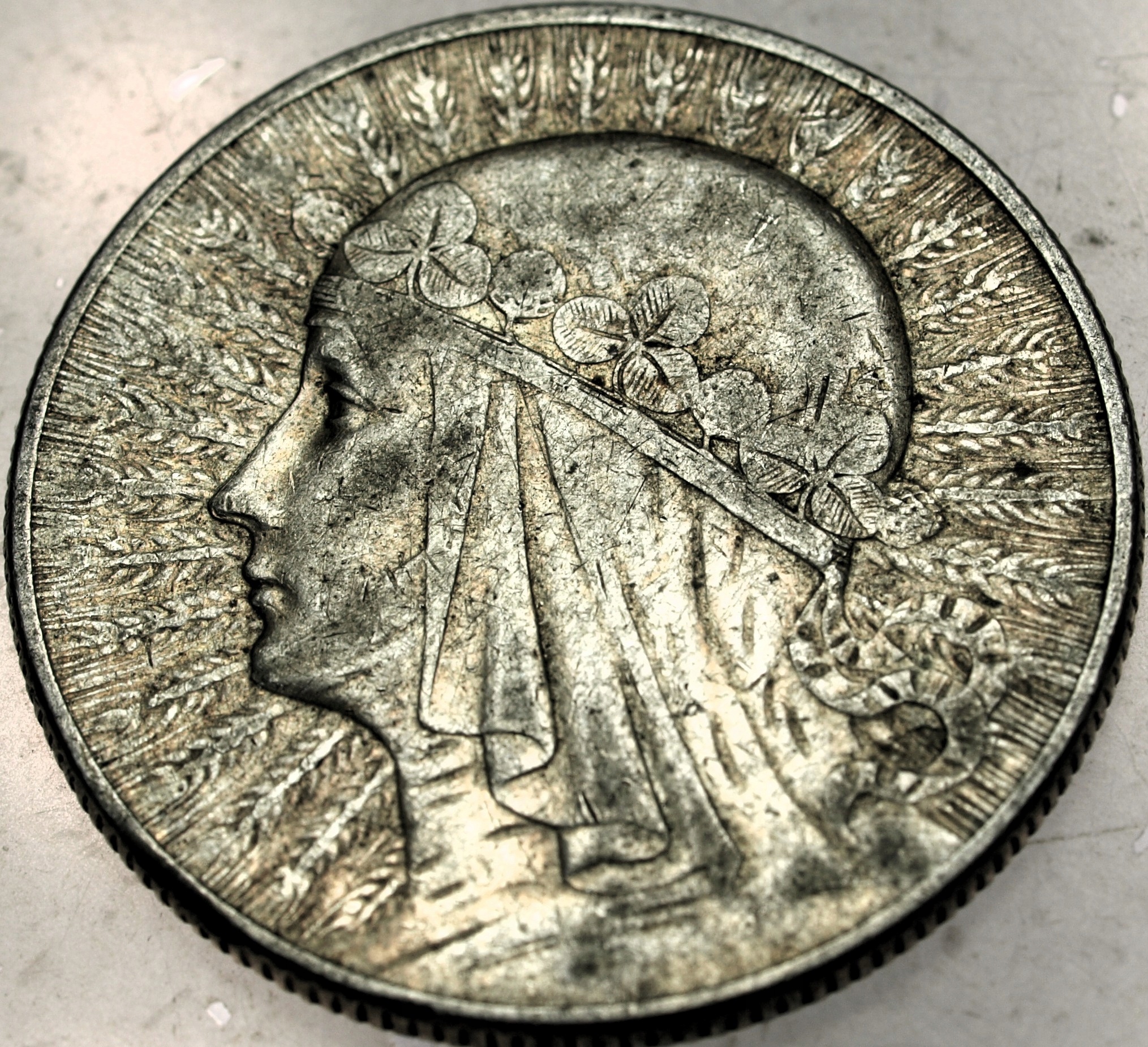 Zdjęcie 18486386011_0