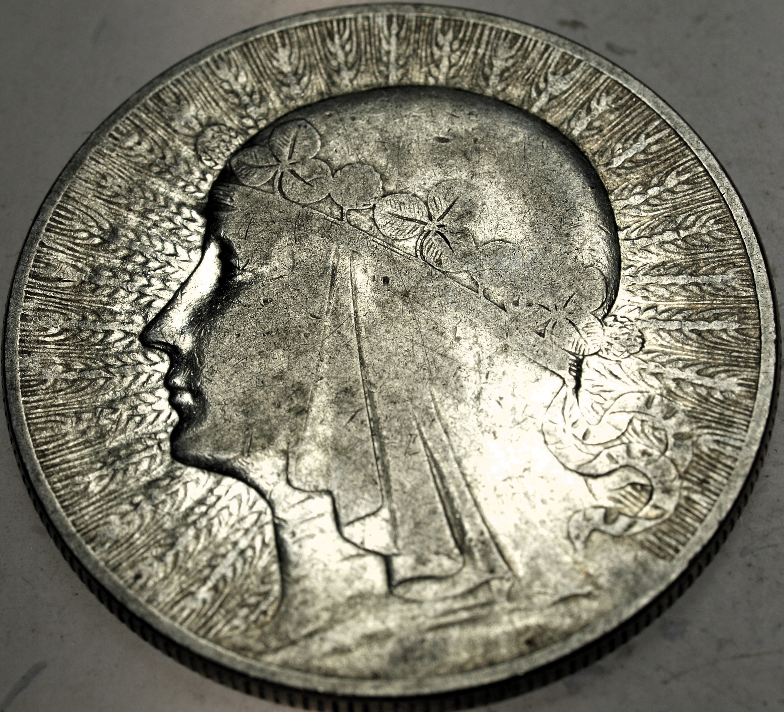 Zdjęcie 18486393832_0