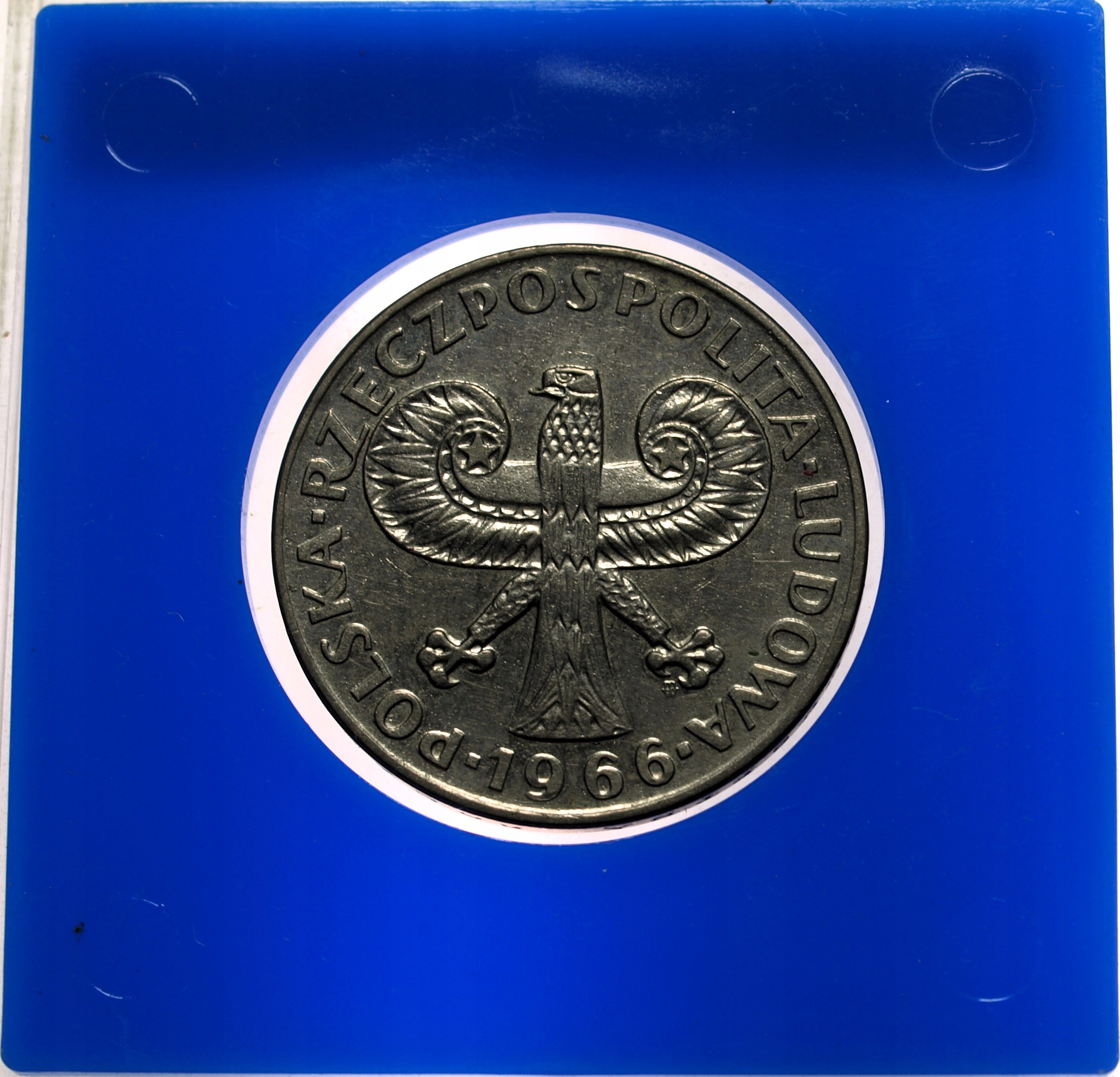 Zdjęcie 18486400687_1