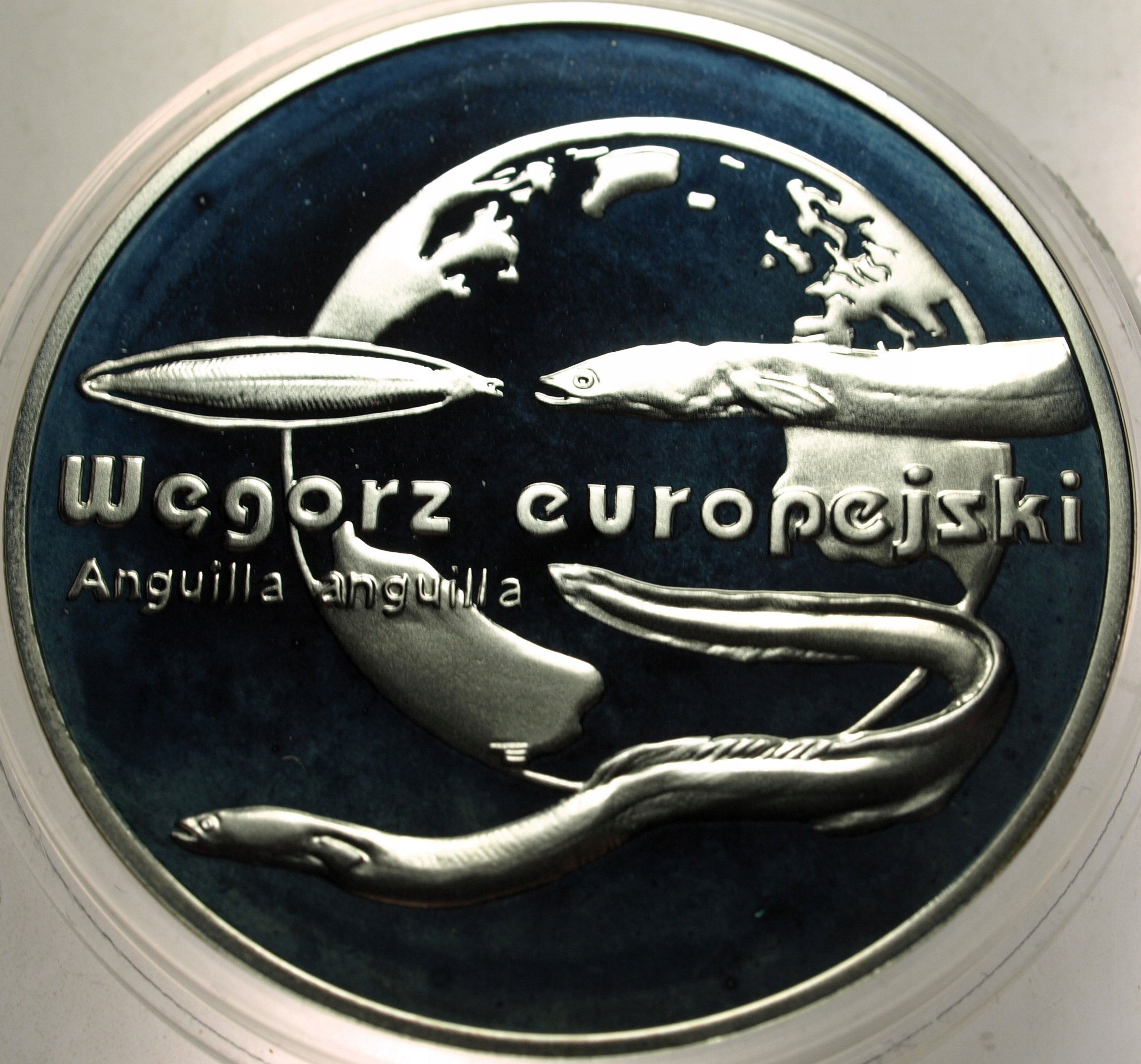 Zdjęcie 18486409707_0