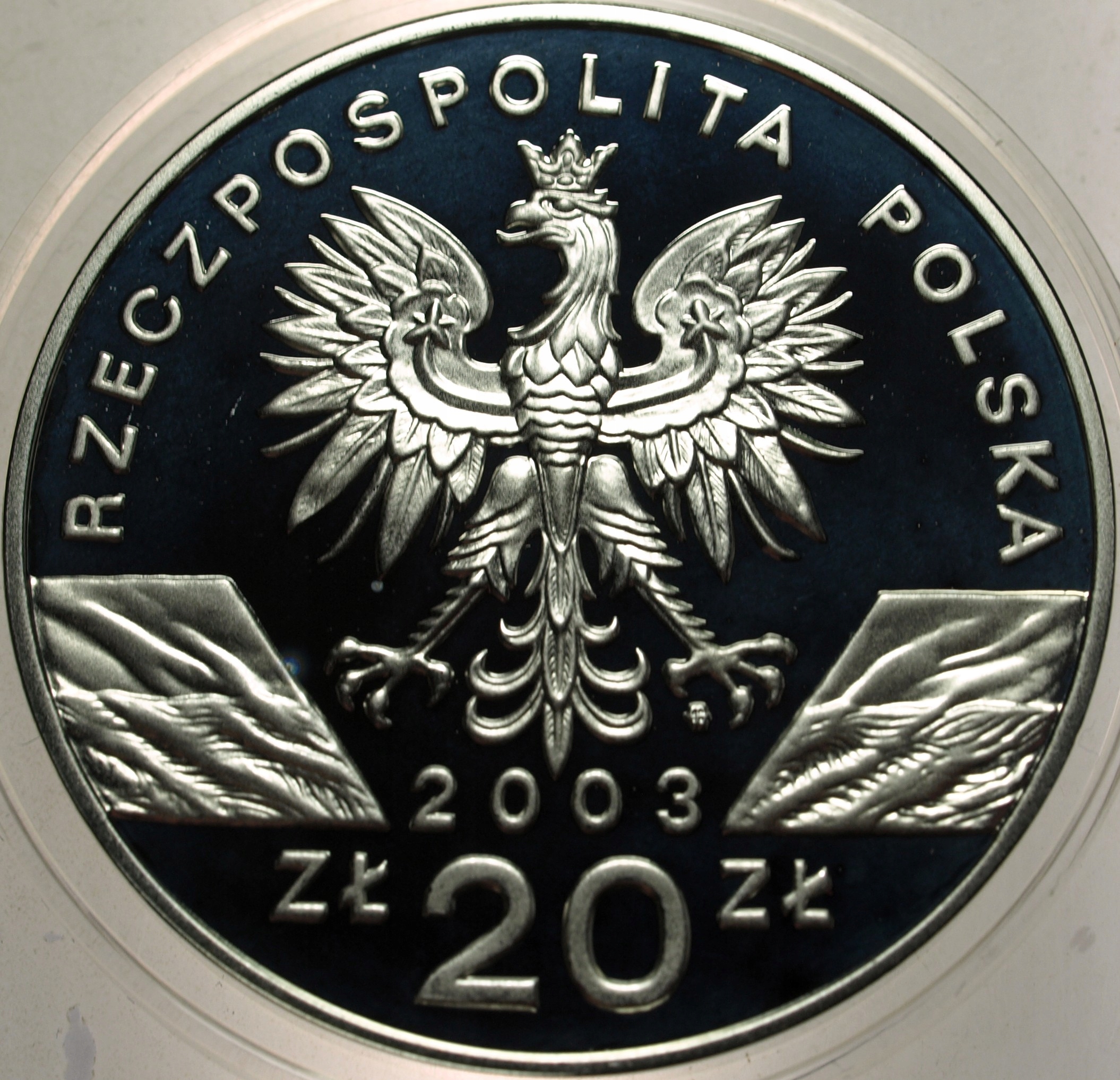 Zdjęcie 18486409707_1