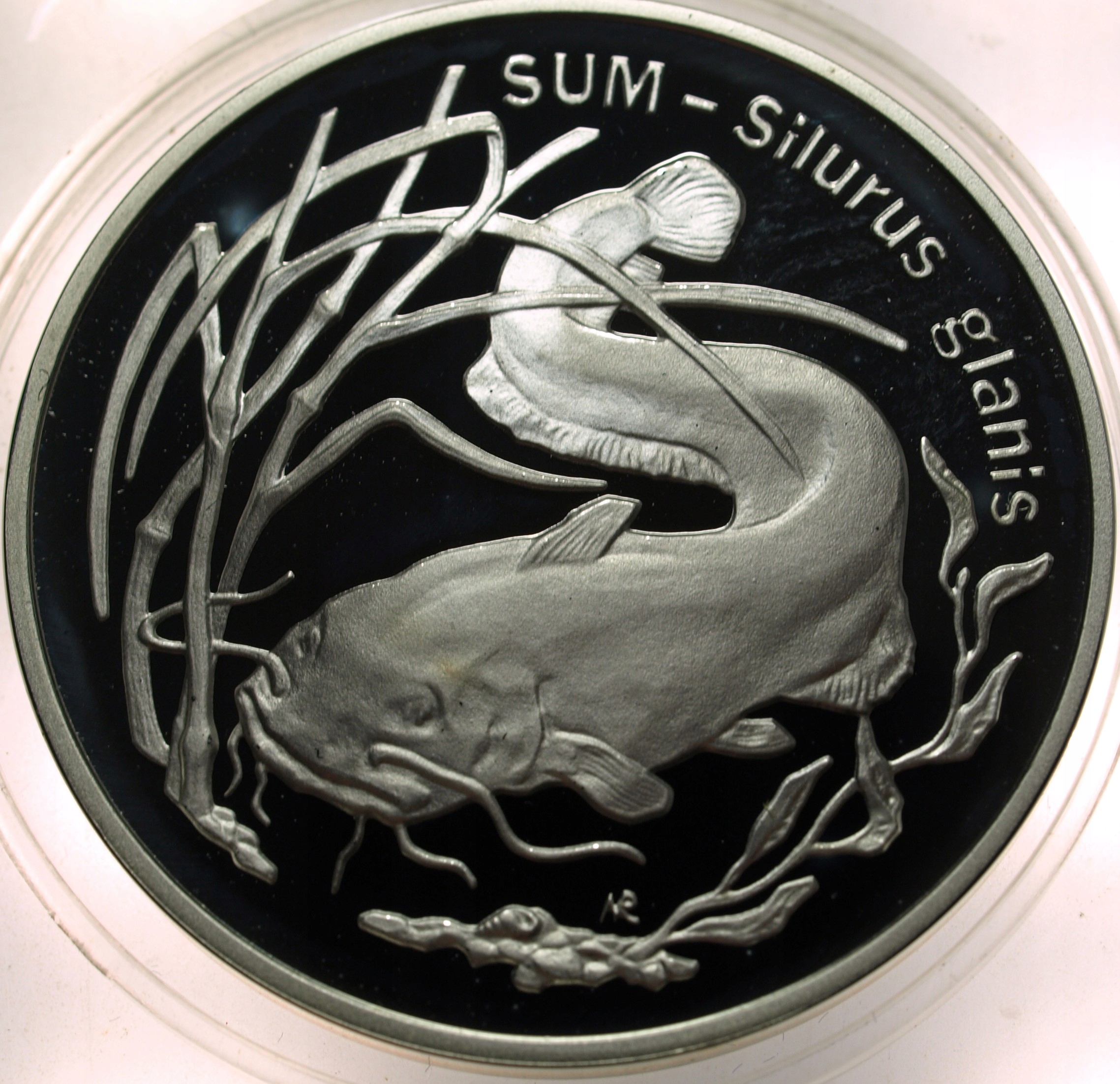 Zdjęcie 18486629076_0