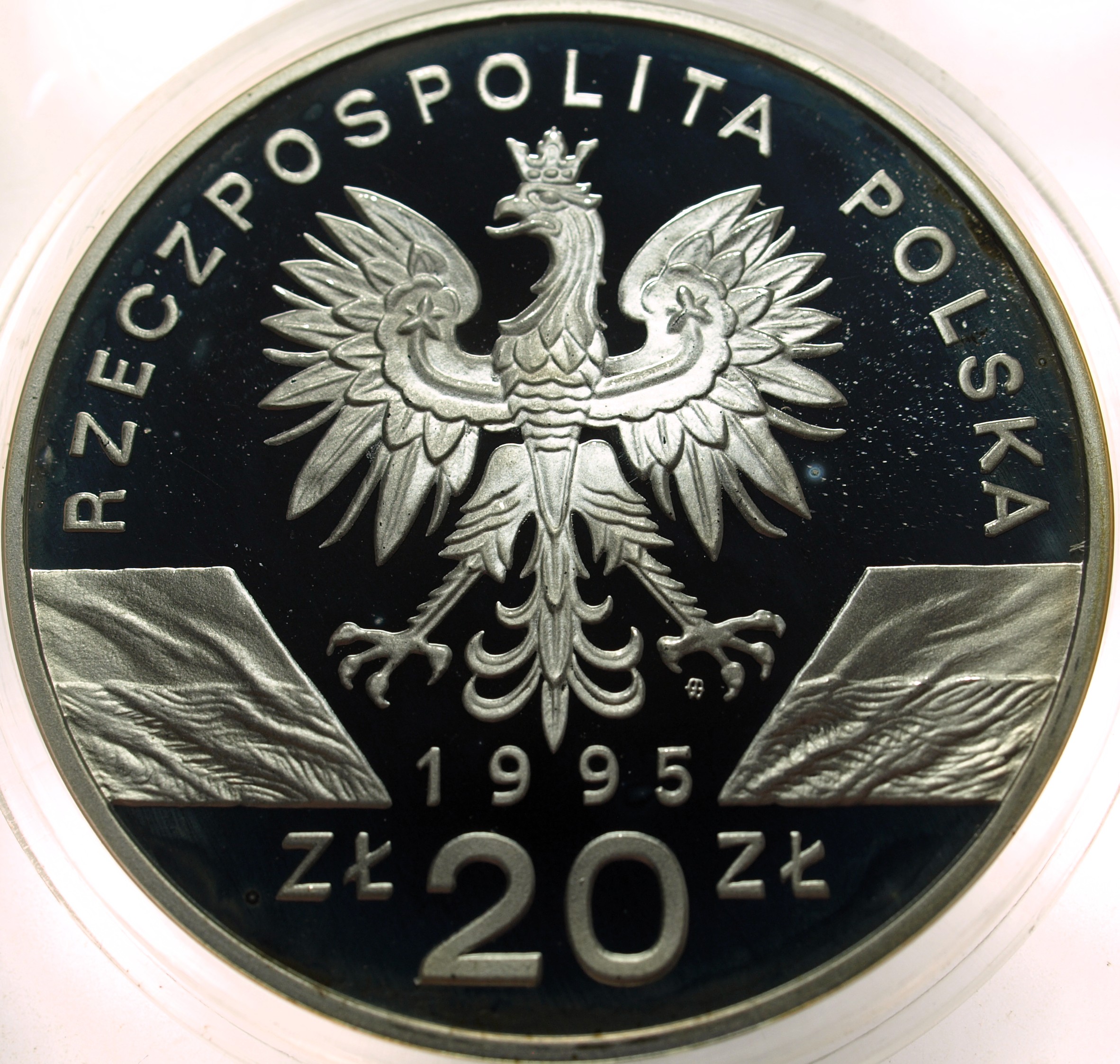 Zdjęcie 18486629076_1