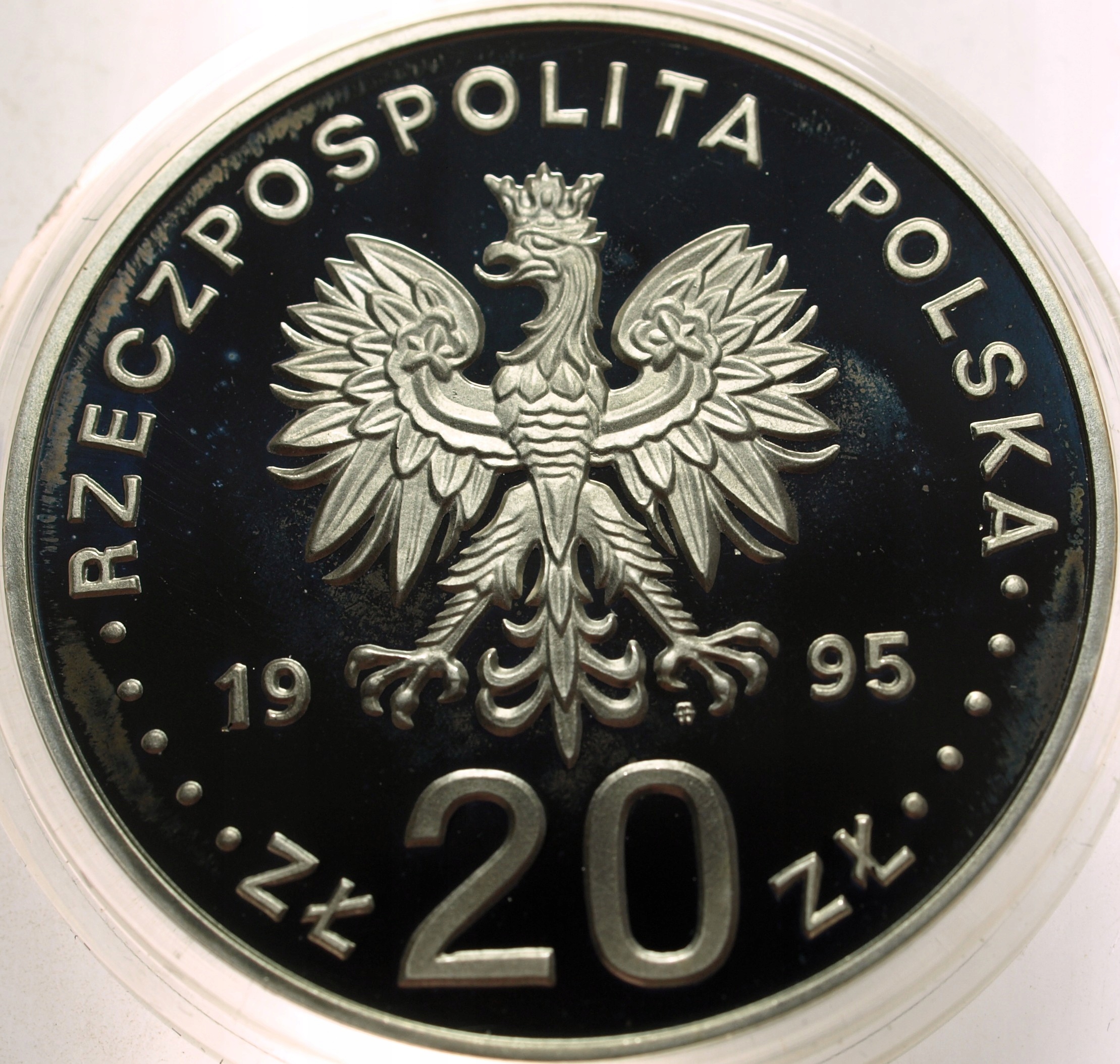 Zdjęcie 18486632864_1