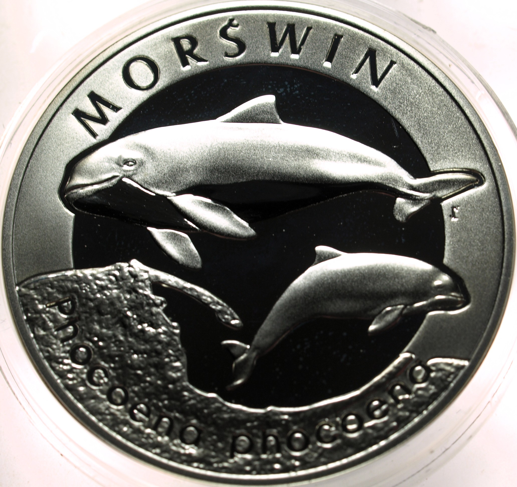 Zdjęcie 18486648747_0