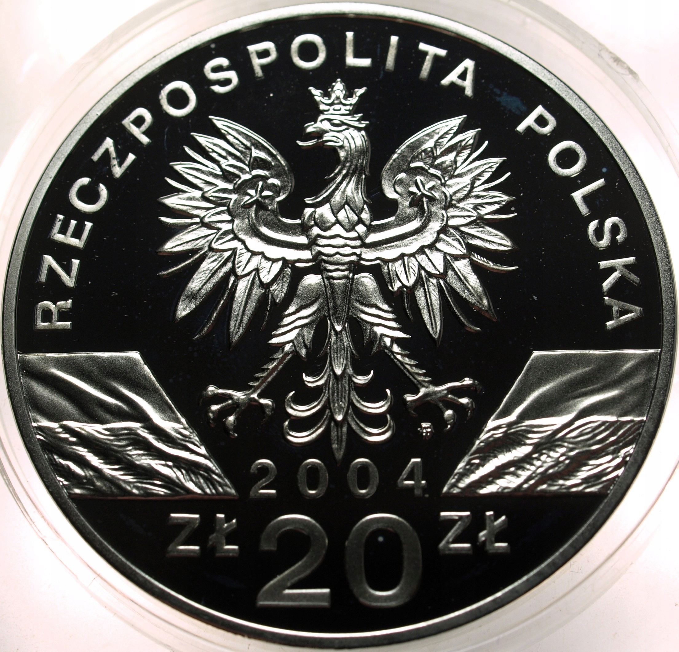 Zdjęcie 18486648747_1