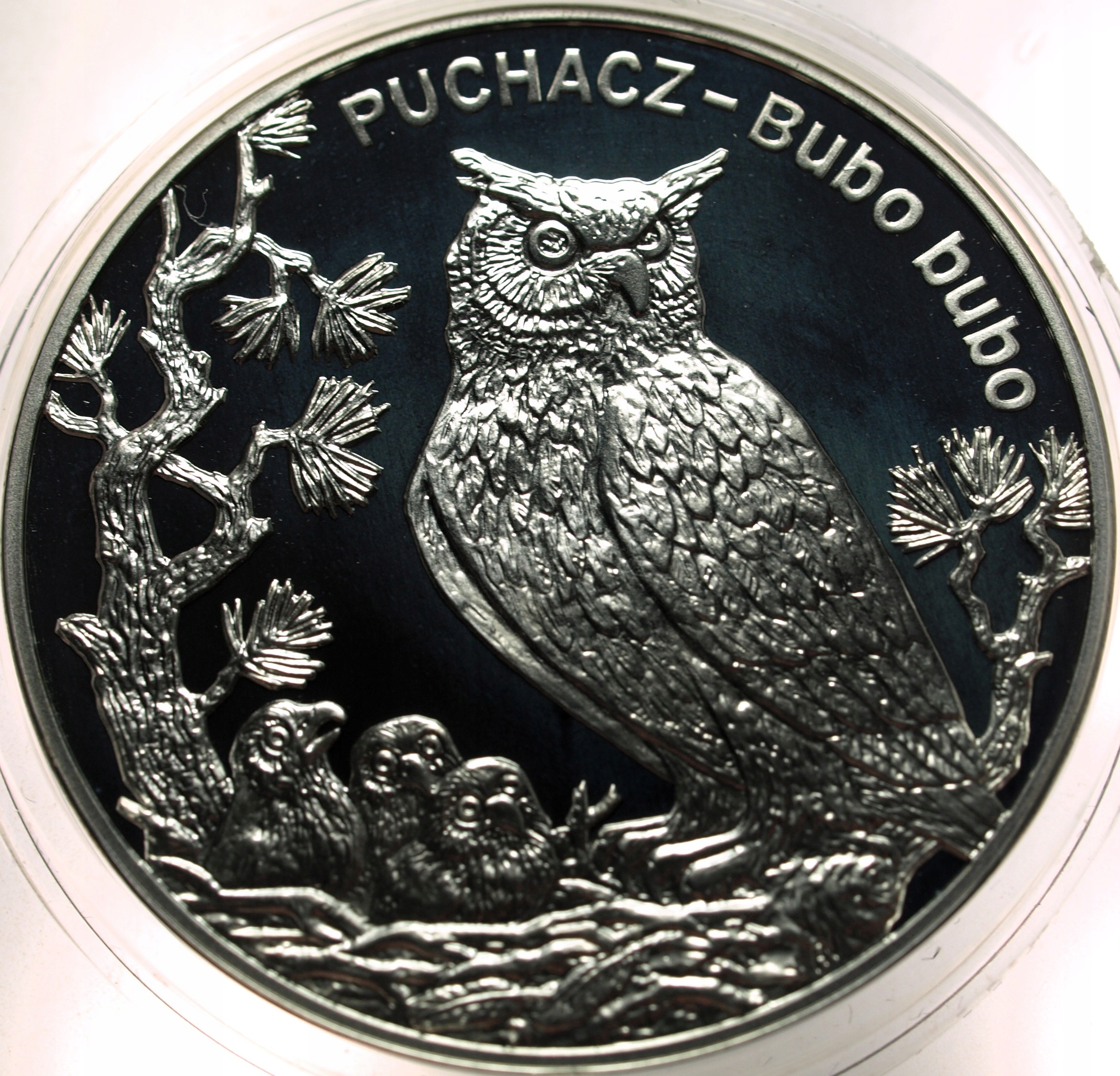 Zdjęcie 18486654479_0