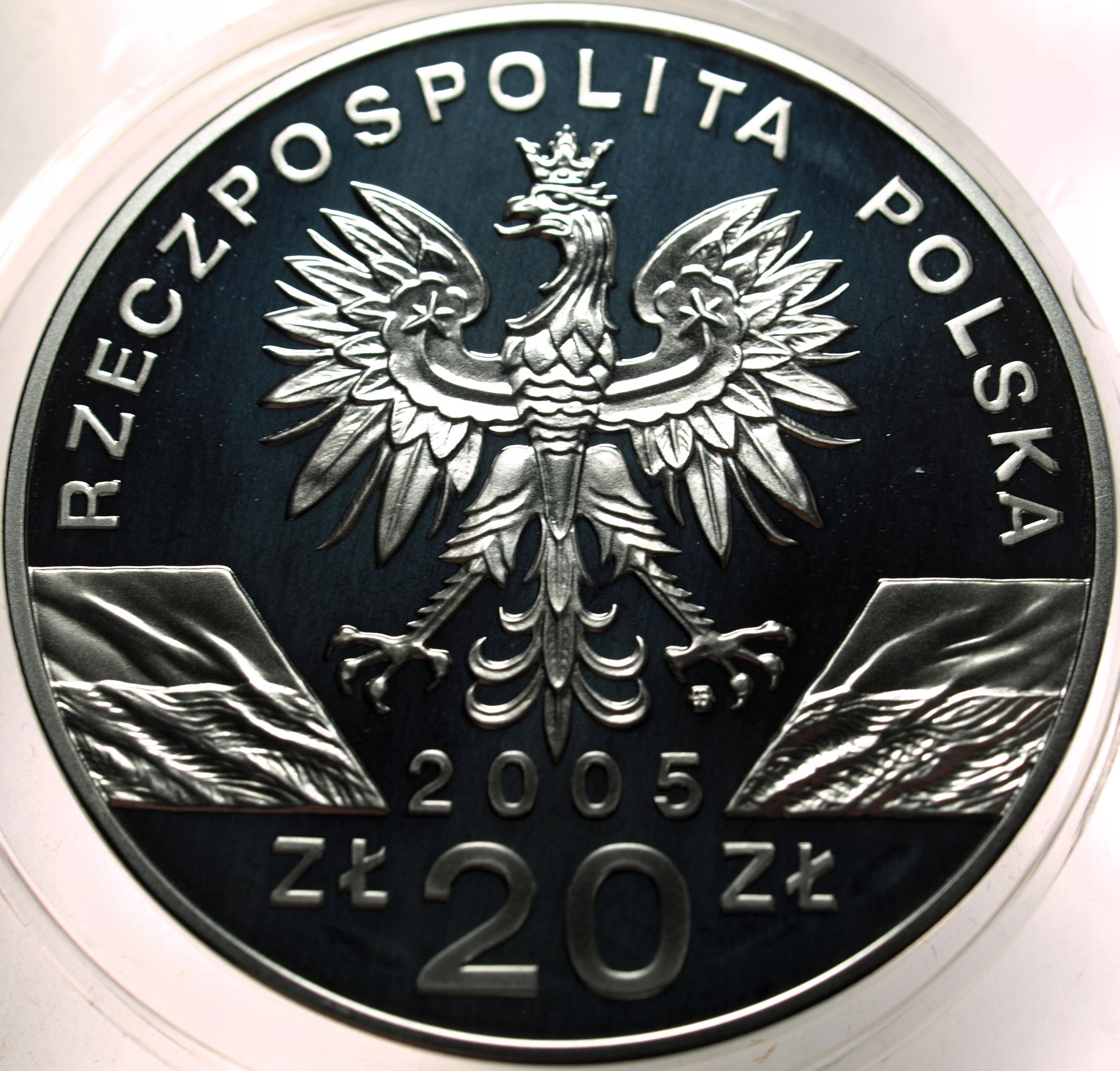 Zdjęcie 18486654479_1