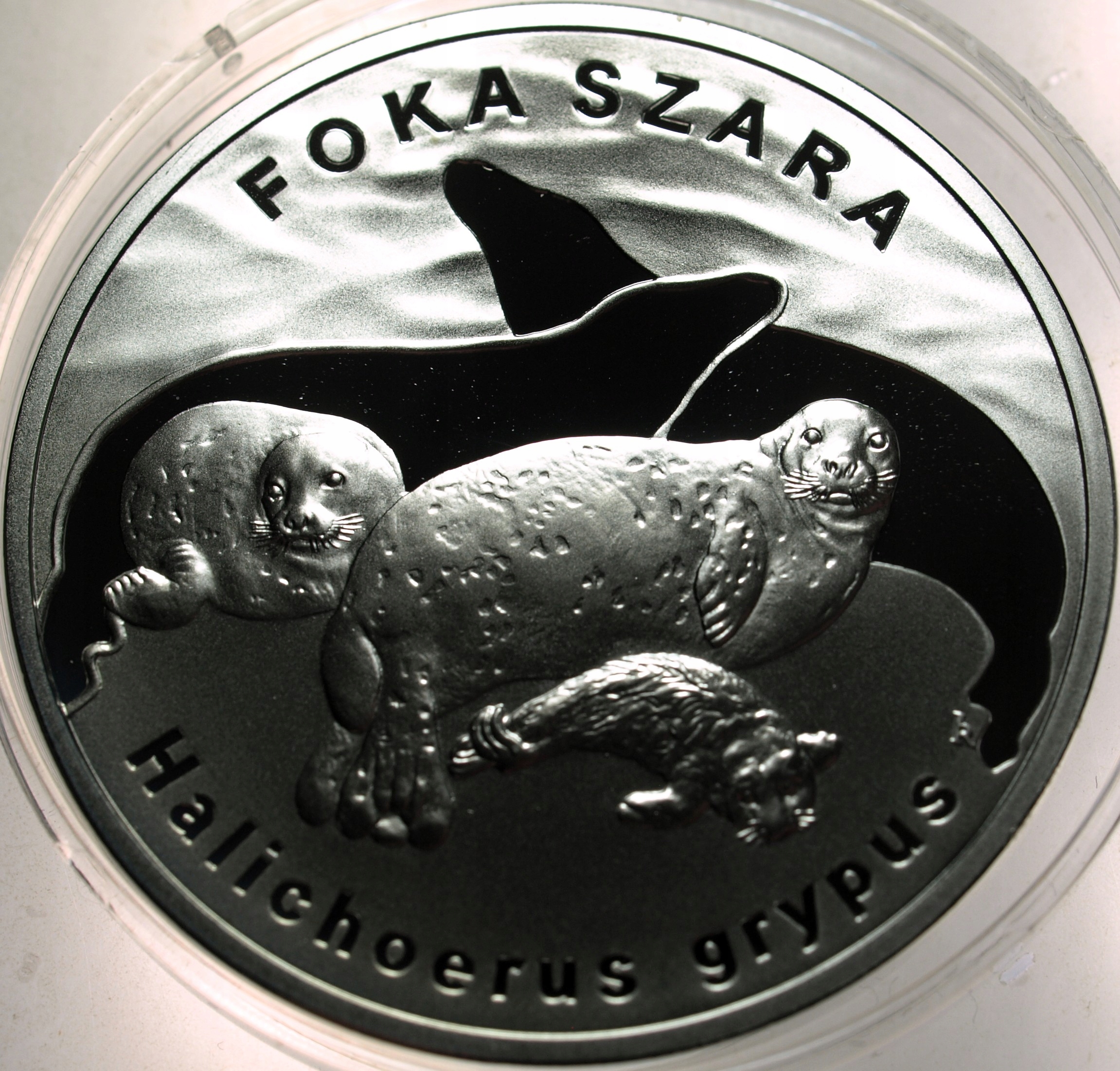 Zdjęcie 18486665018_0