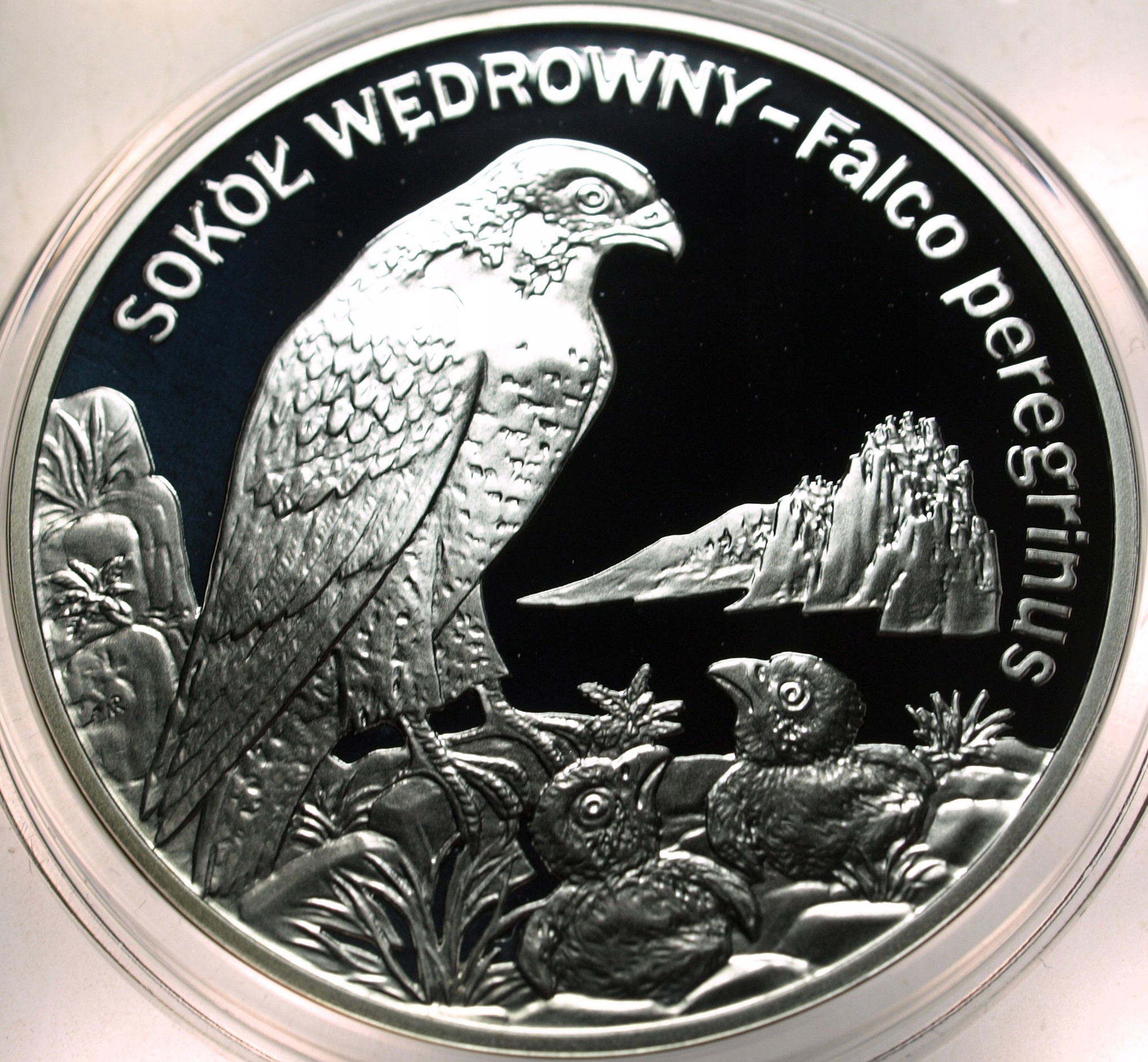 Zdjęcie 18486678252_0