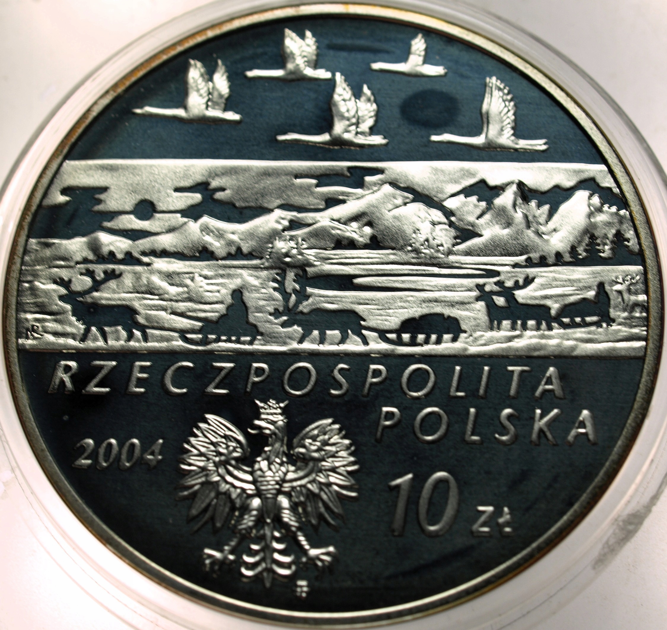 Zdjęcie 18489578486_1