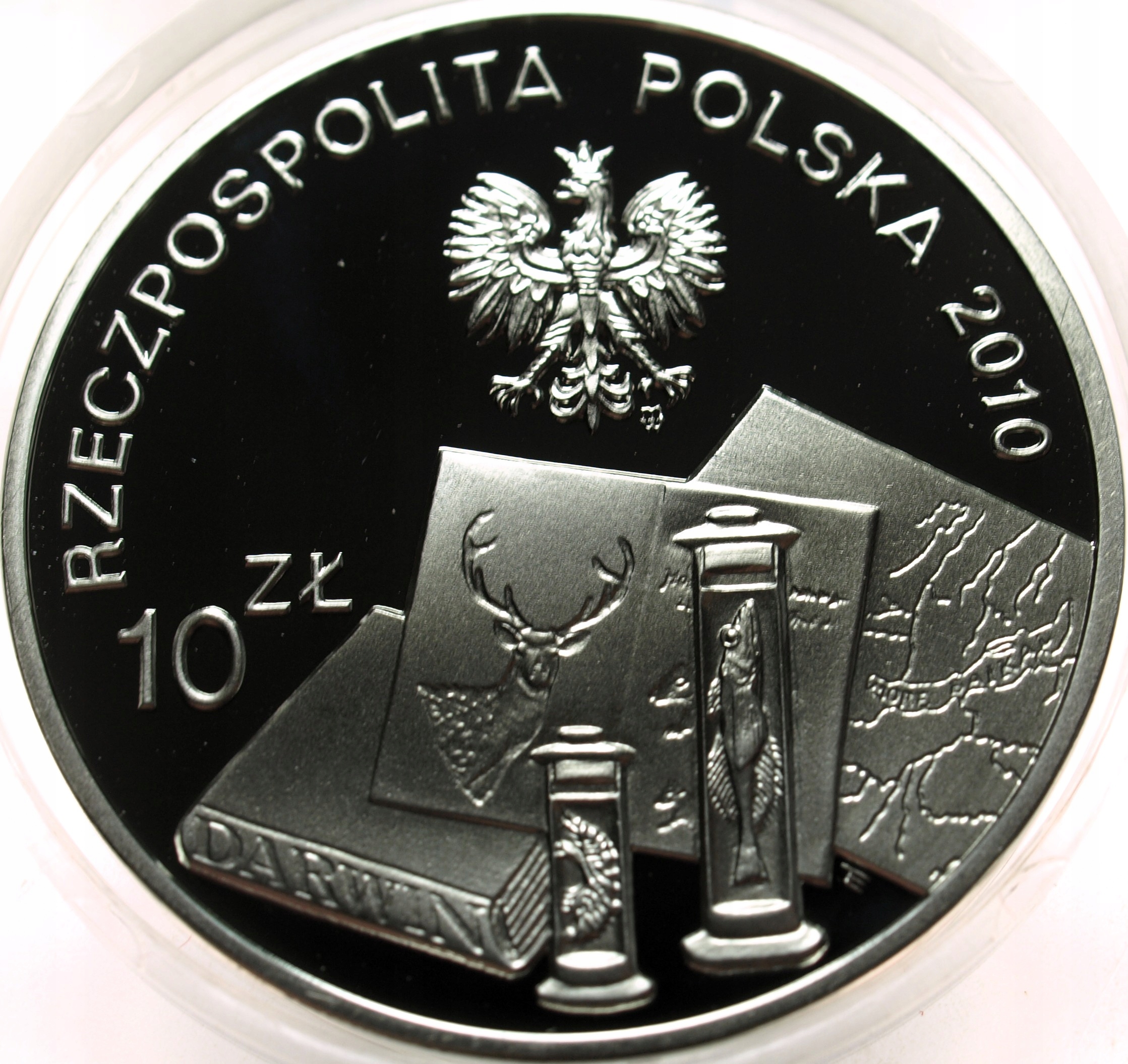 Zdjęcie 18497479762_1