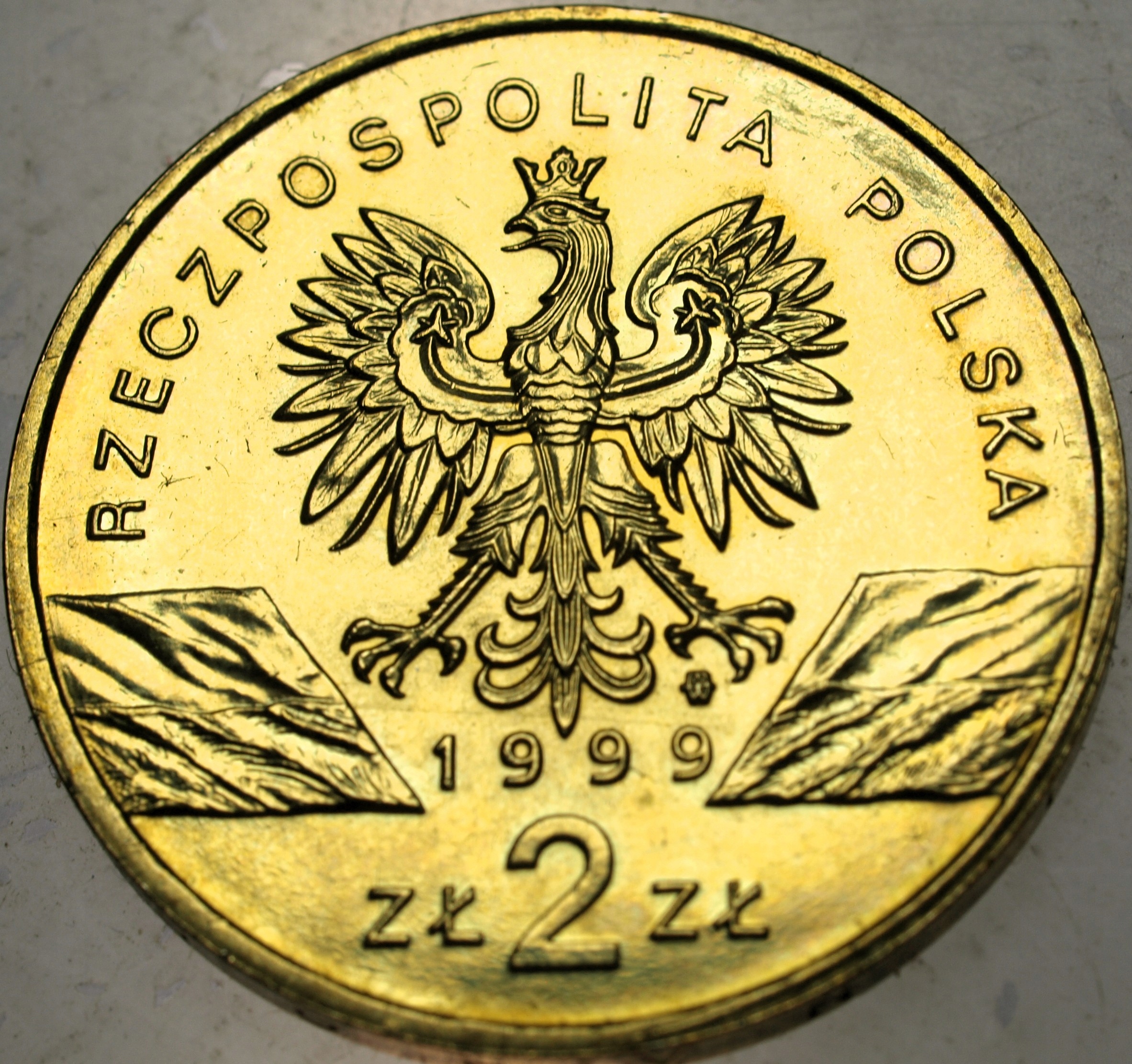 Zdjęcie 18509920875_1