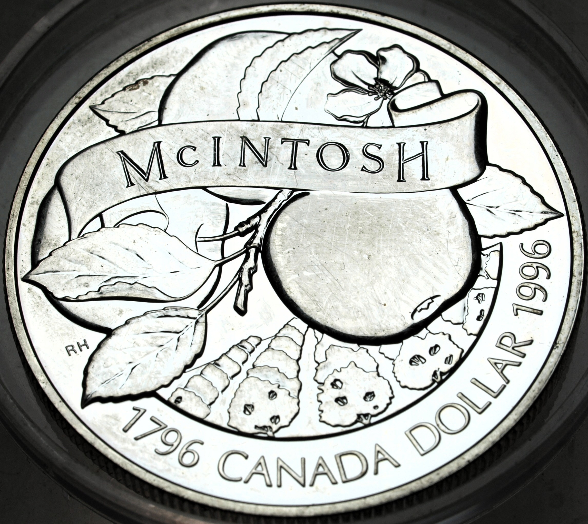 Zdjęcie 18519037615_0