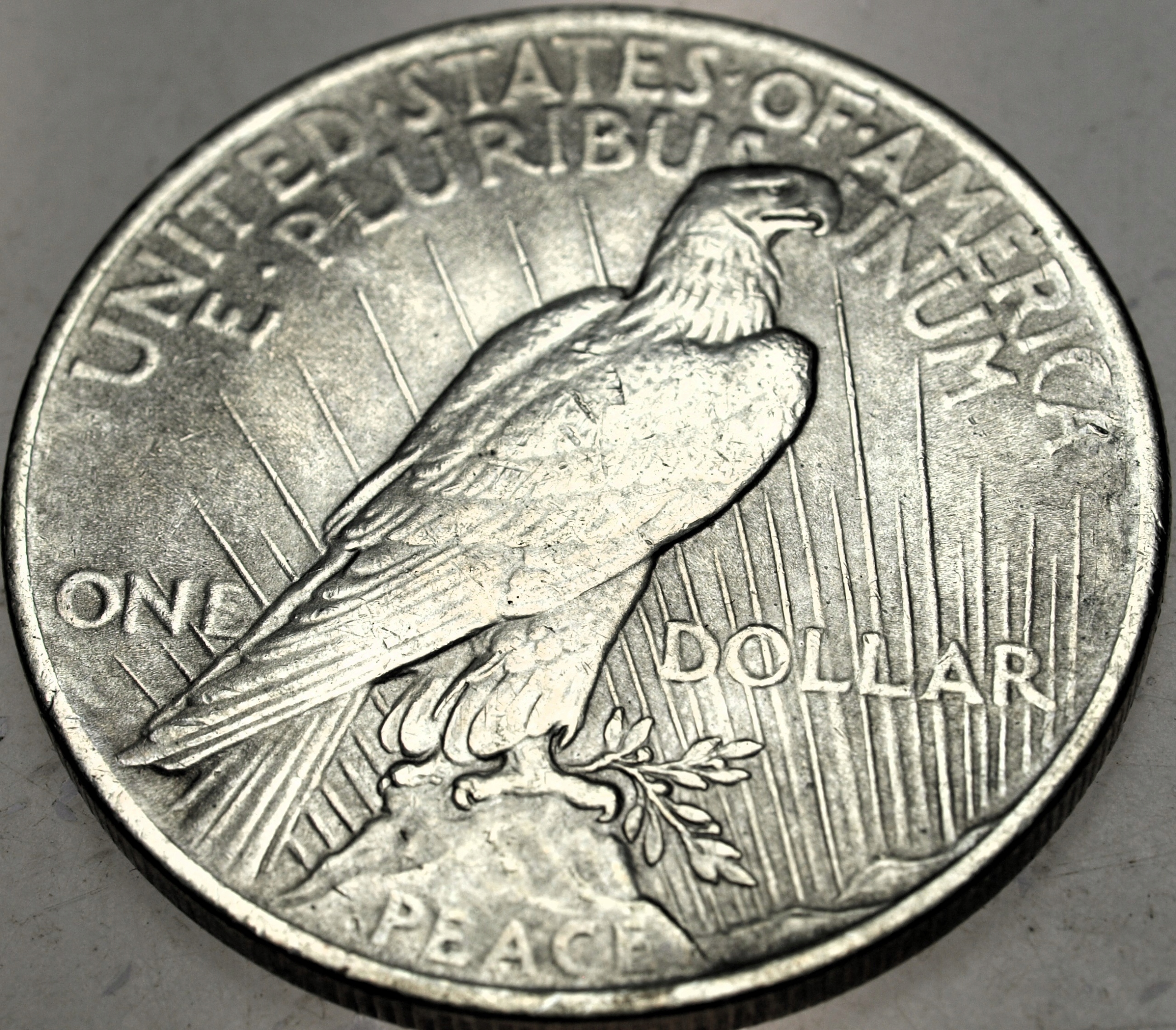 Zdjęcie 18519079200_1