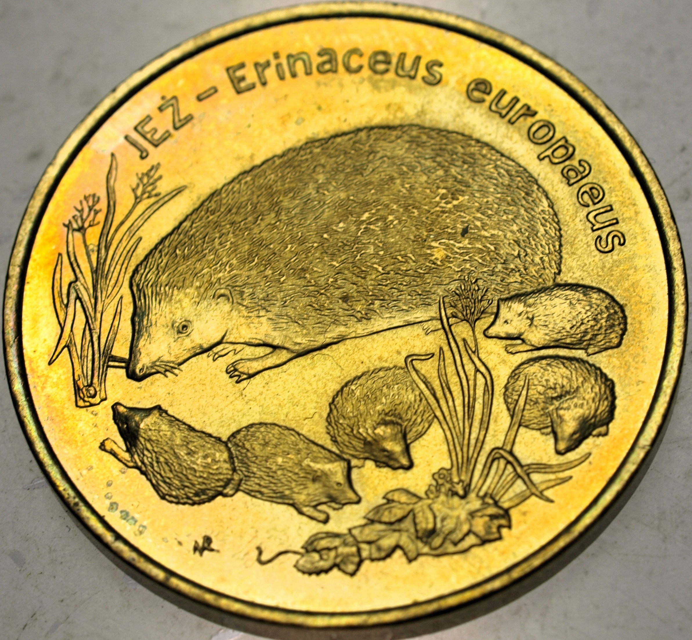 Zdjęcie 18521522968_0