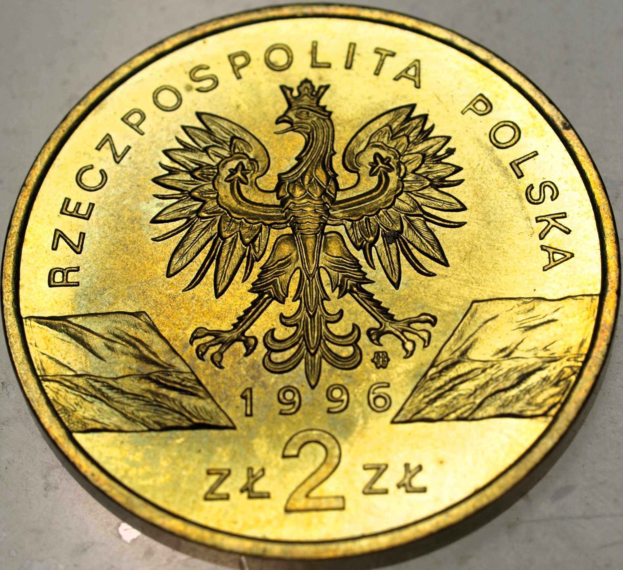 Zdjęcie 18521522968_1