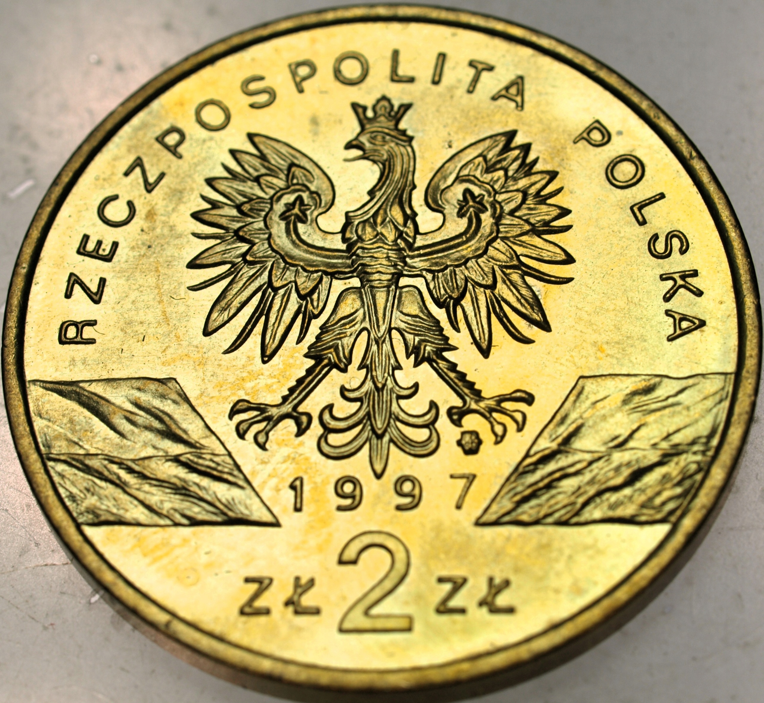 Zdjęcie 18521527453_1