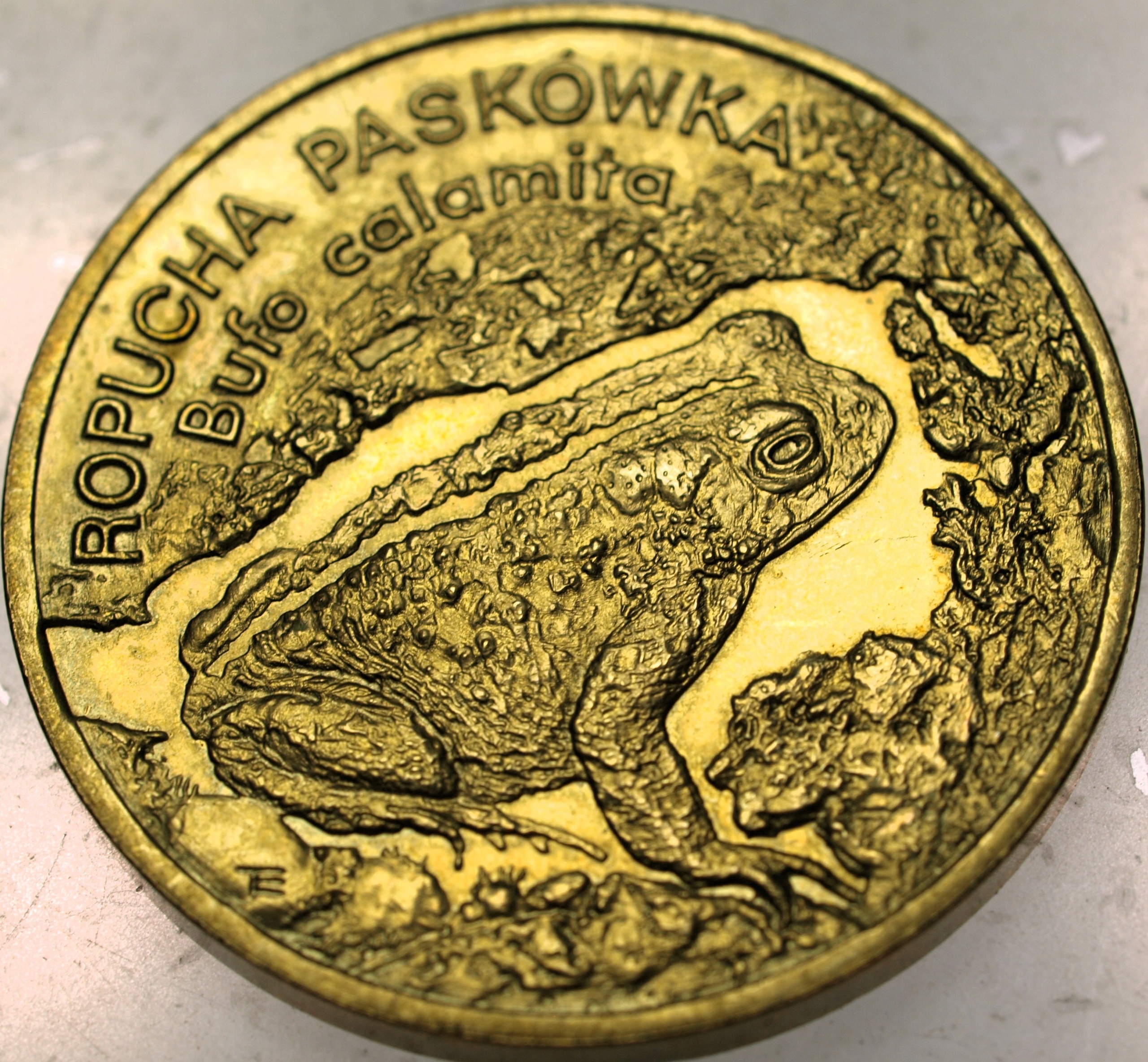 Zdjęcie 18521536775_0