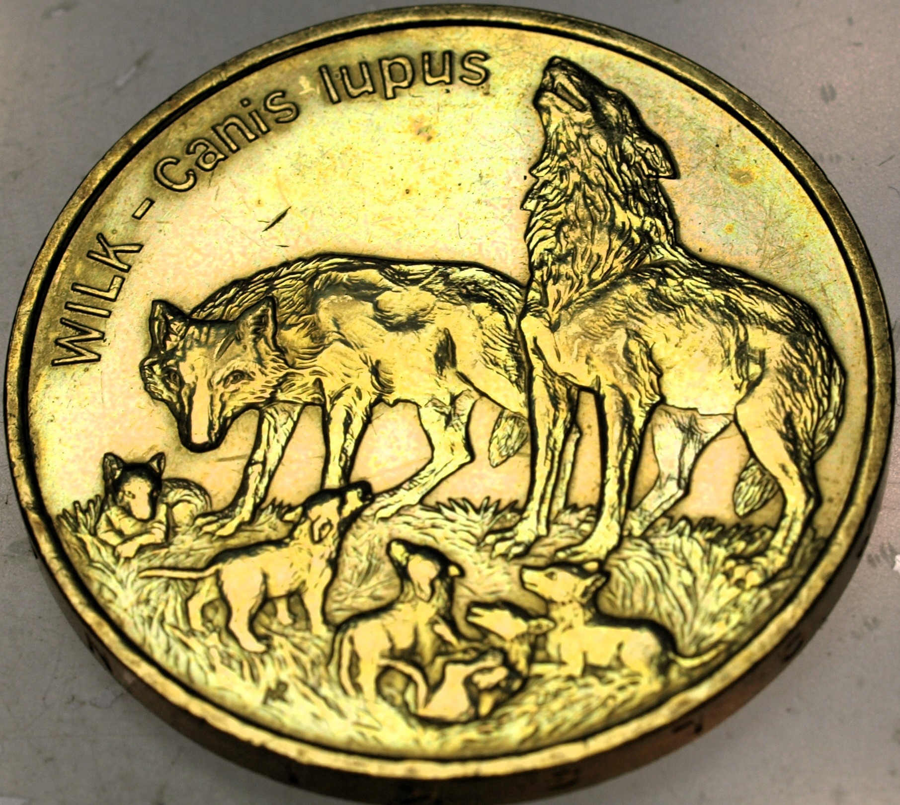 Zdjęcie 18521553308_0