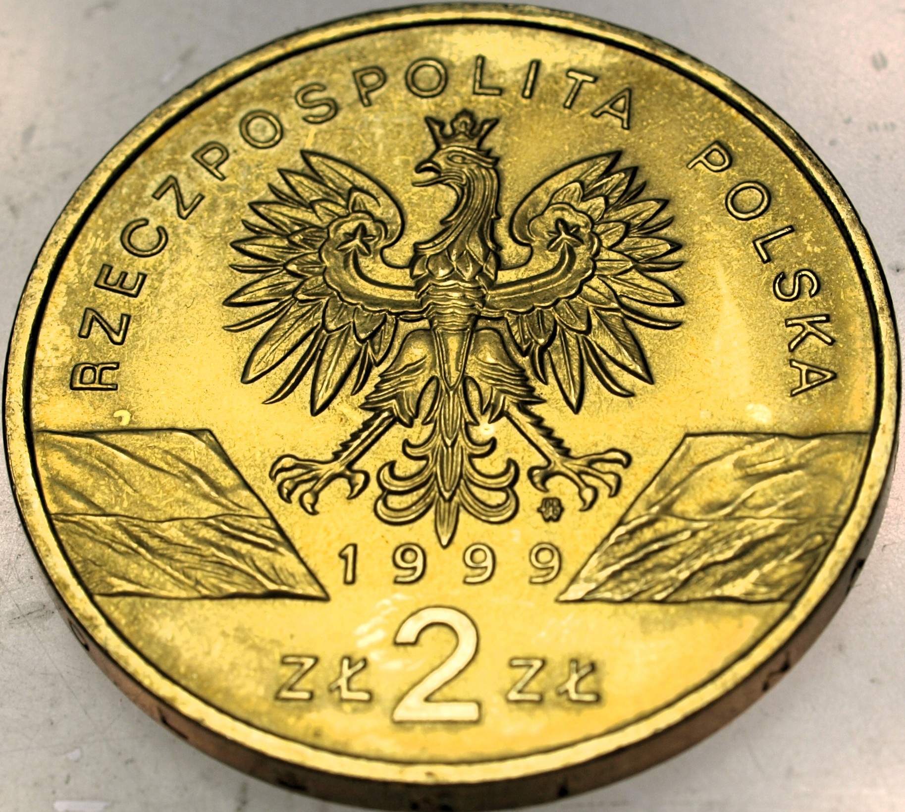 Zdjęcie 18521553308_1