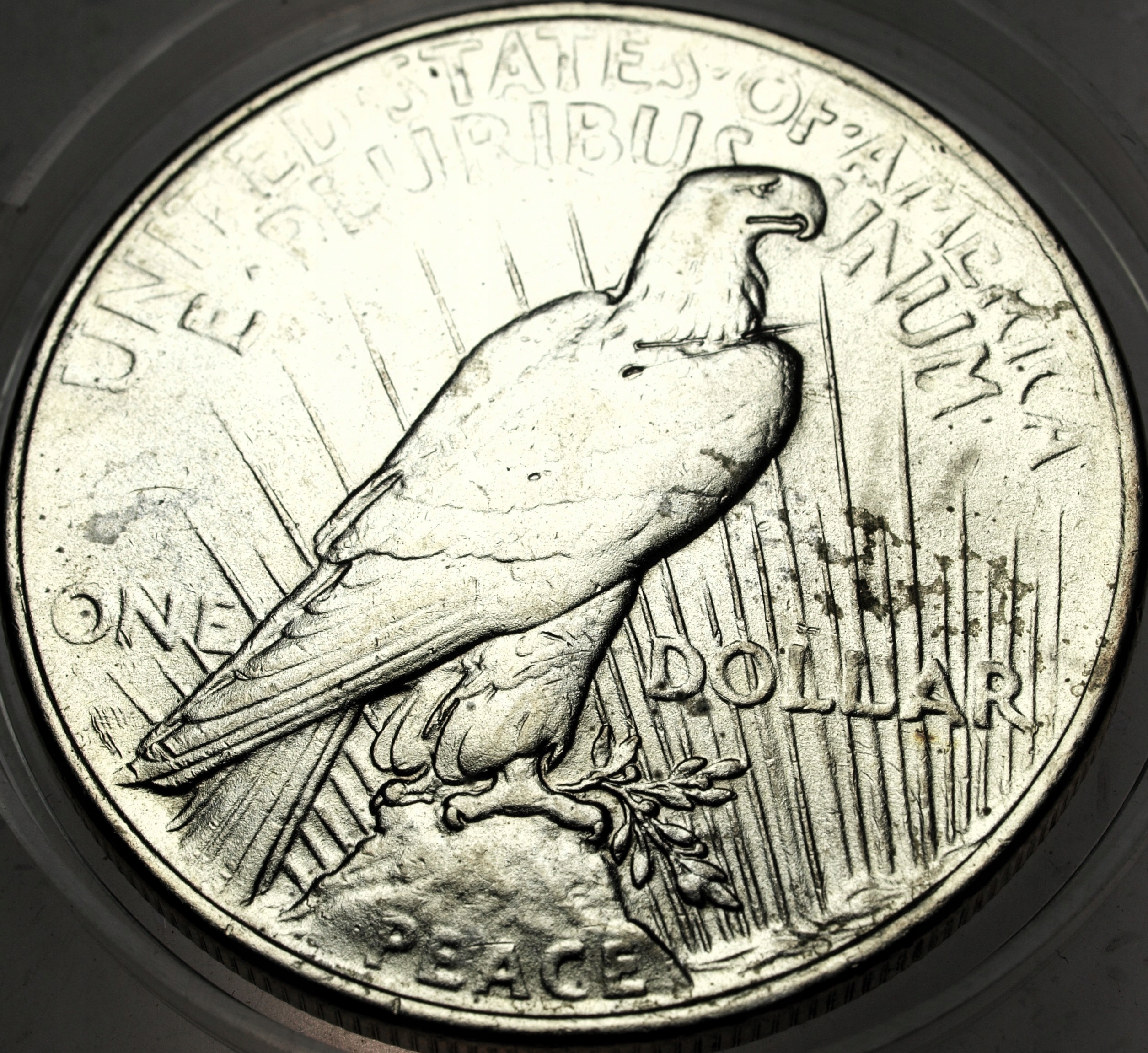 Zdjęcie 18521574366_1