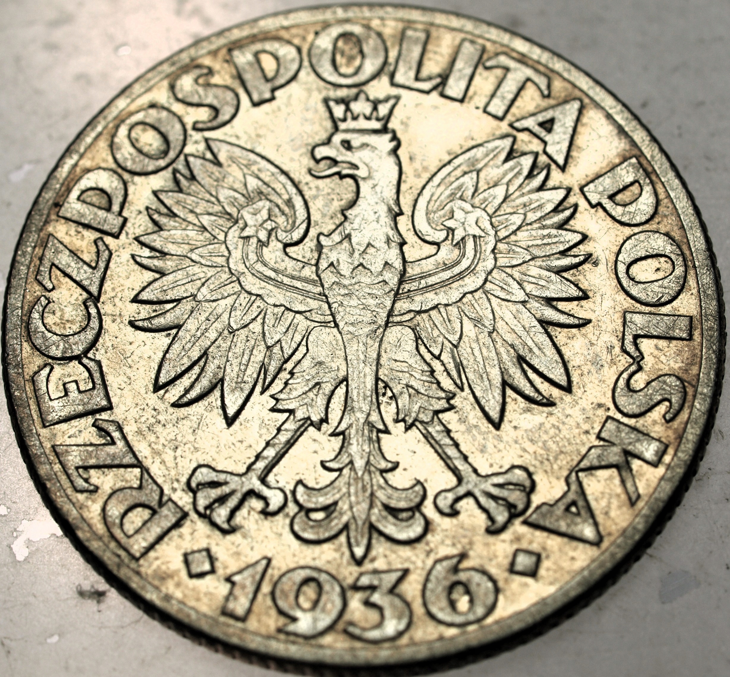 Zdjęcie 18522008952_1