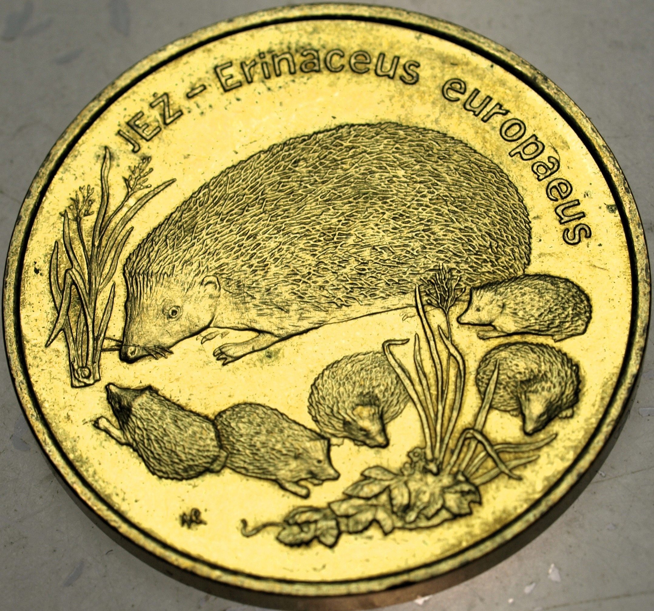 Zdjęcie 18522043213_0