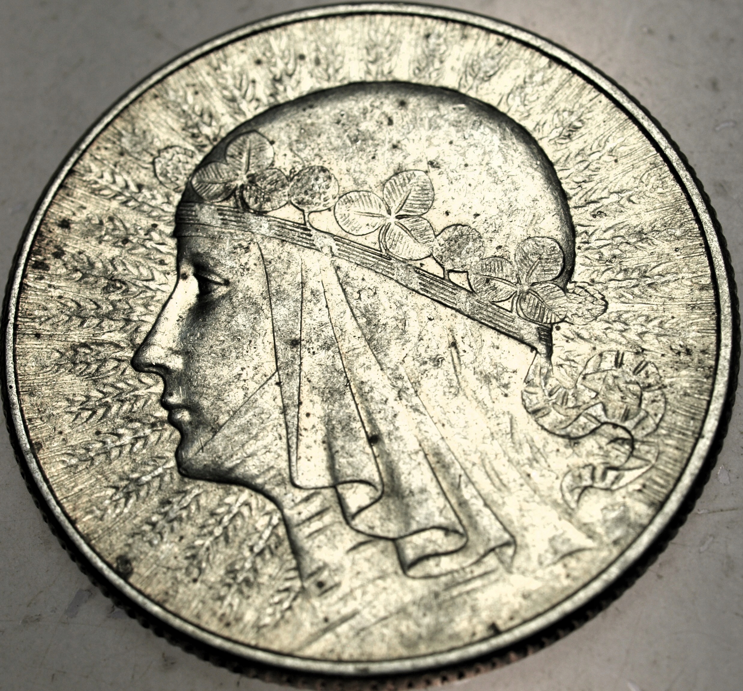 Zdjęcie 18522074391_0