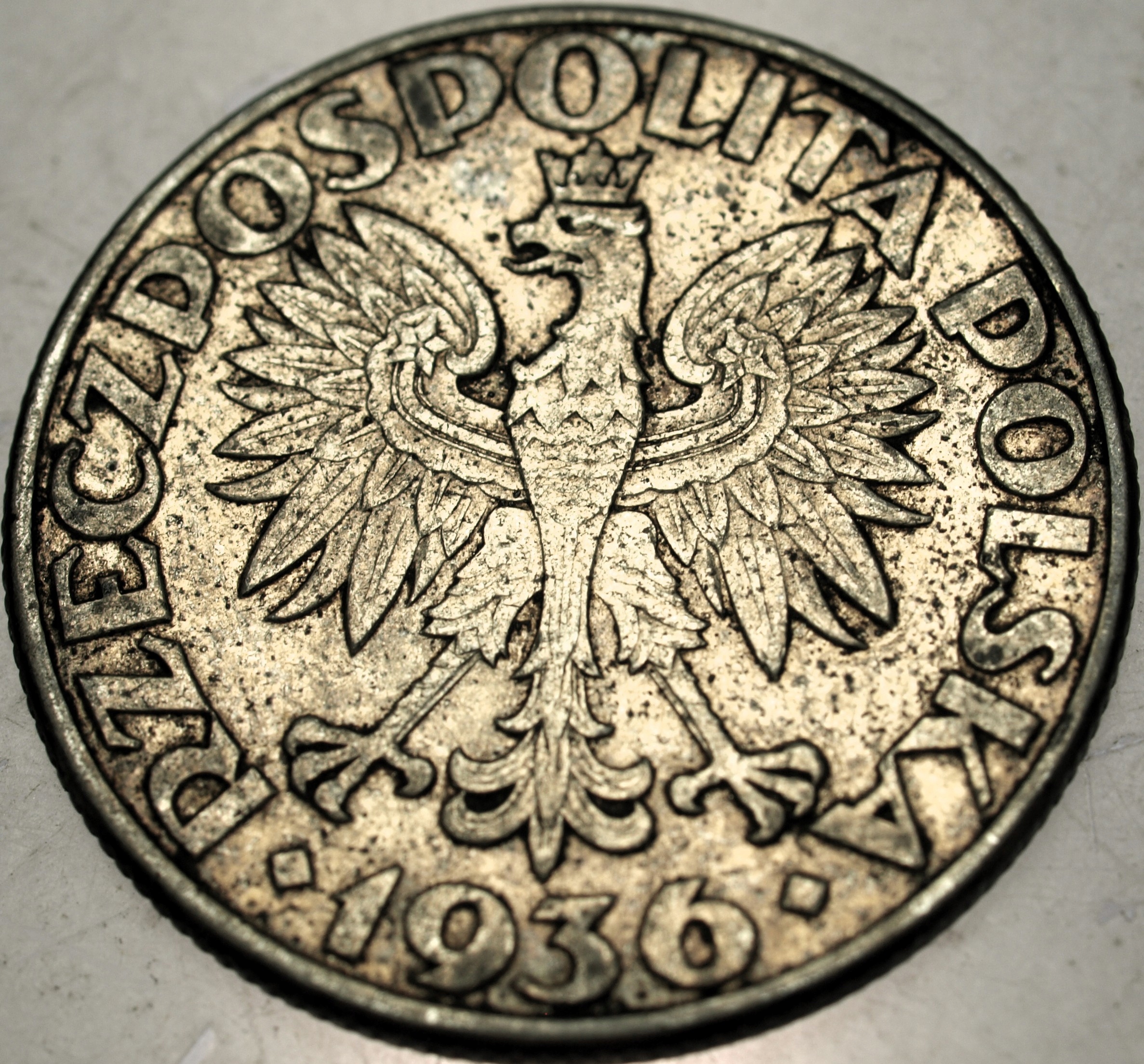 Zdjęcie 18524801525_1