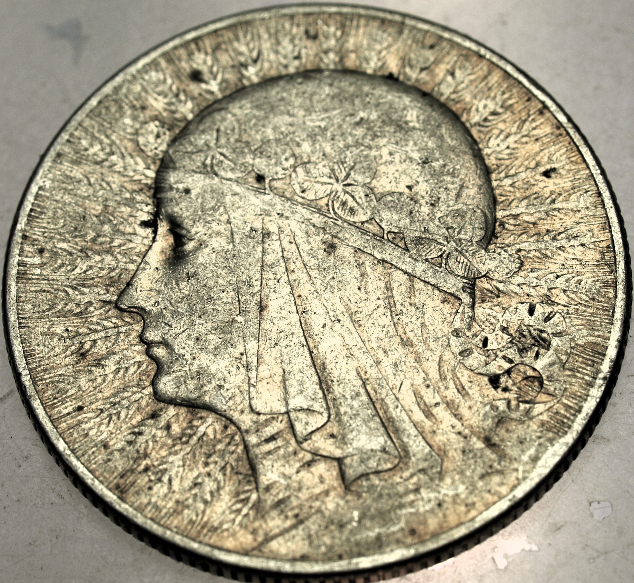 Zdjęcie 18524821866_0