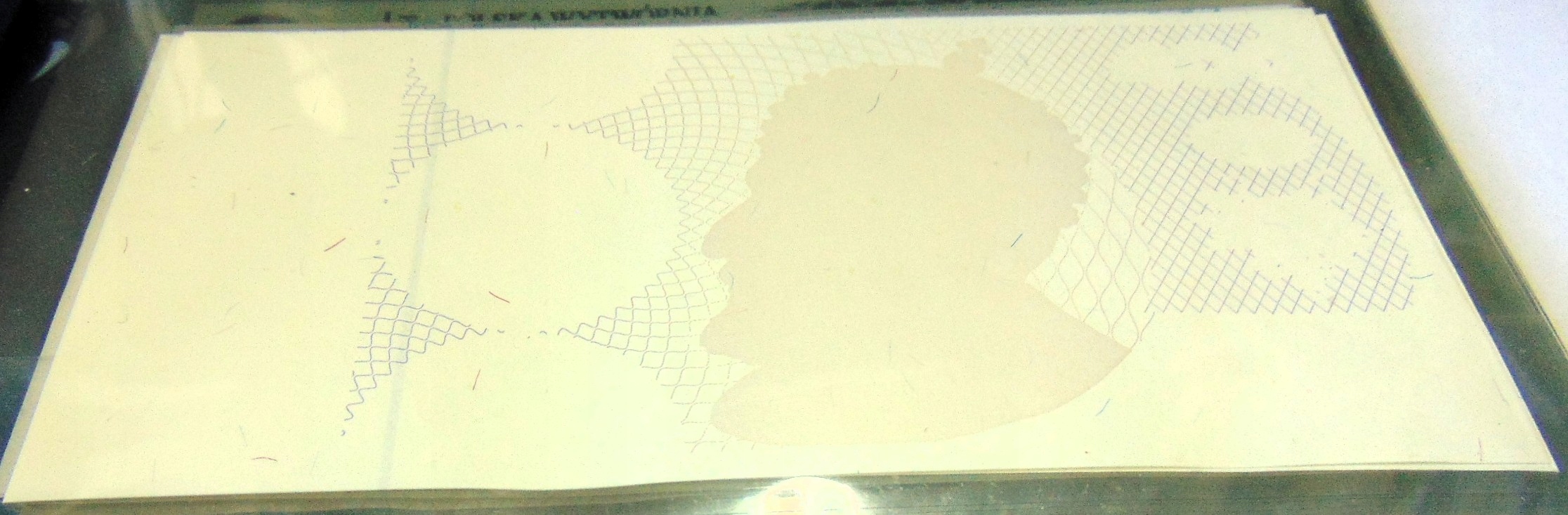 Zdjęcie 18527715639_1