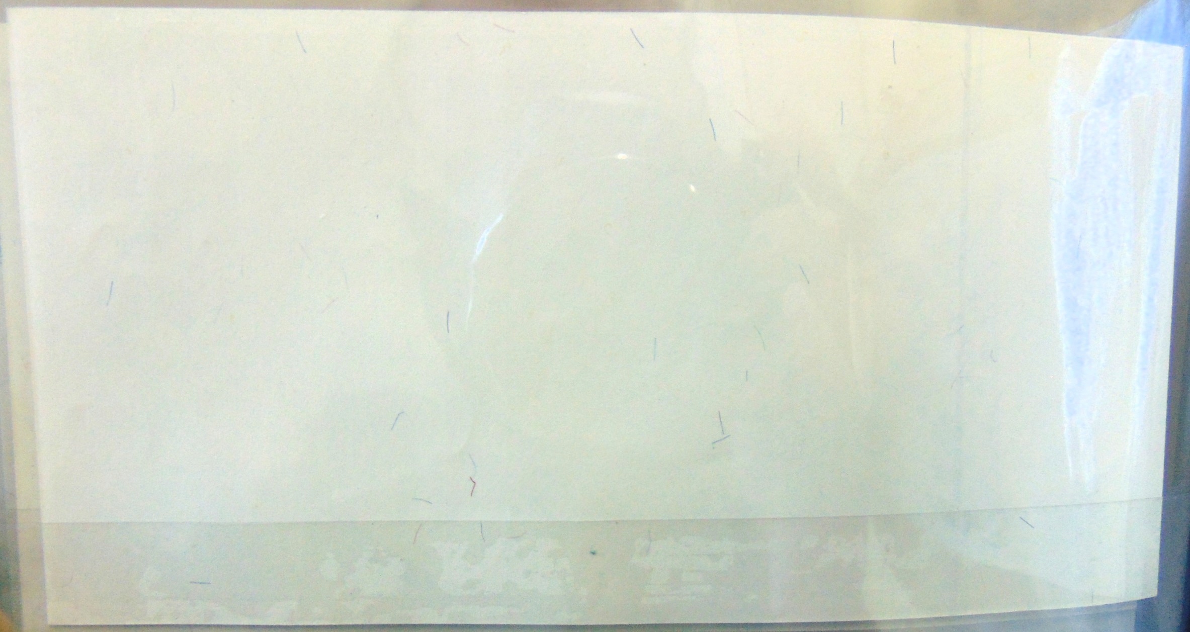 Zdjęcie 18527715639_11