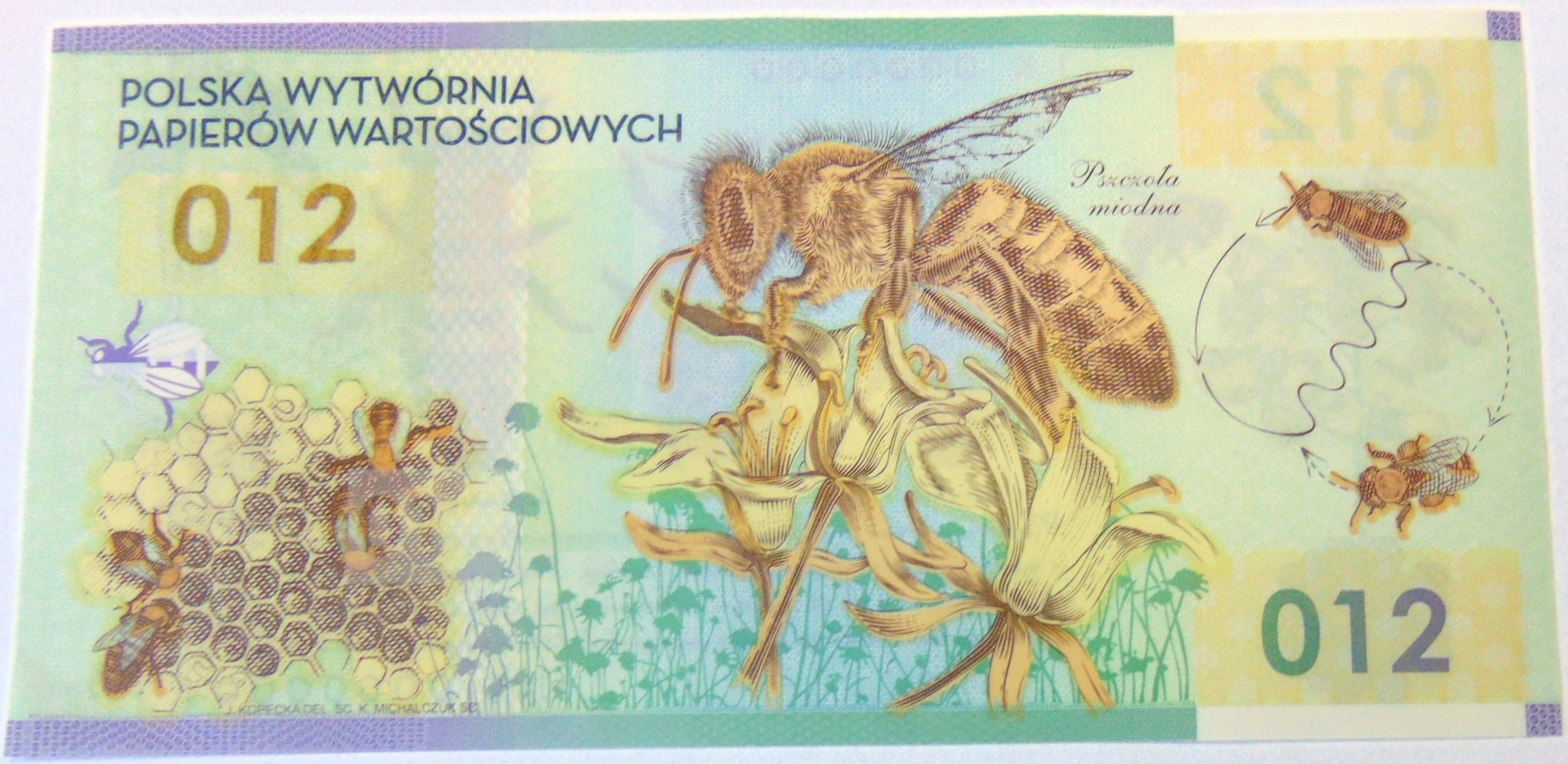 Zdjęcie 18527741825_0