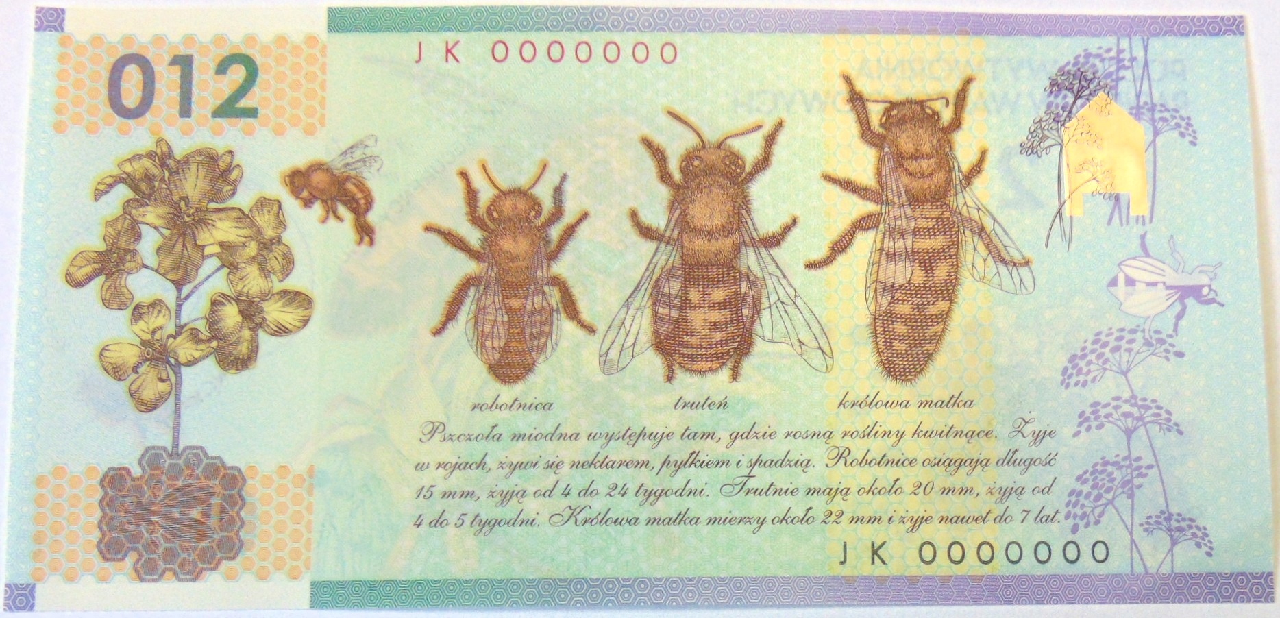 Zdjęcie 18527741825_1