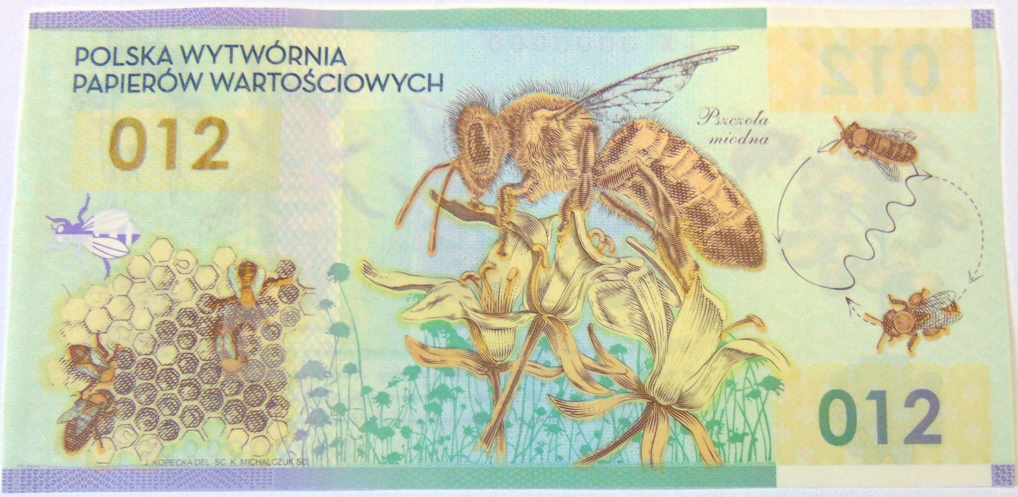 Zdjęcie 18527745238_0