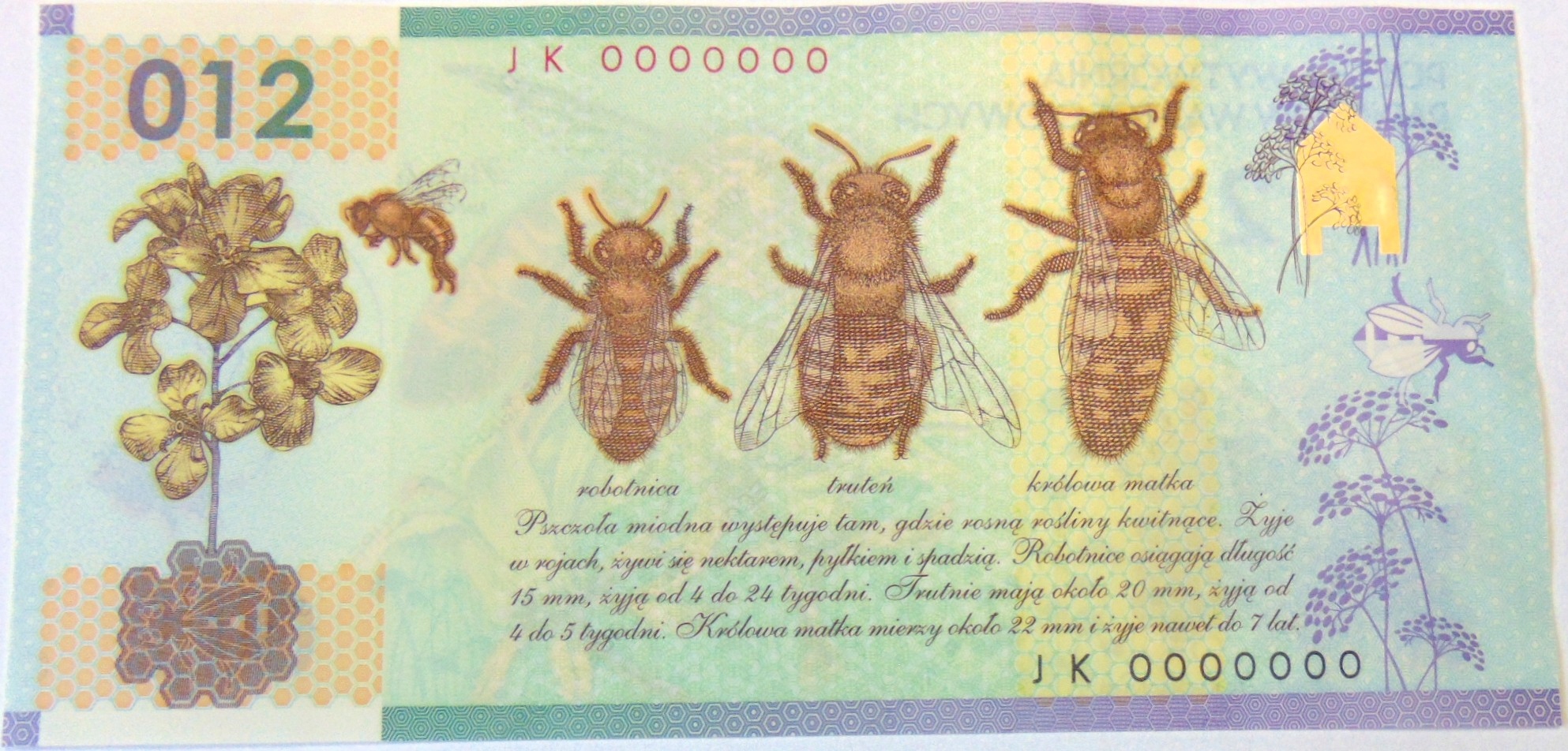 Zdjęcie 18527745238_1