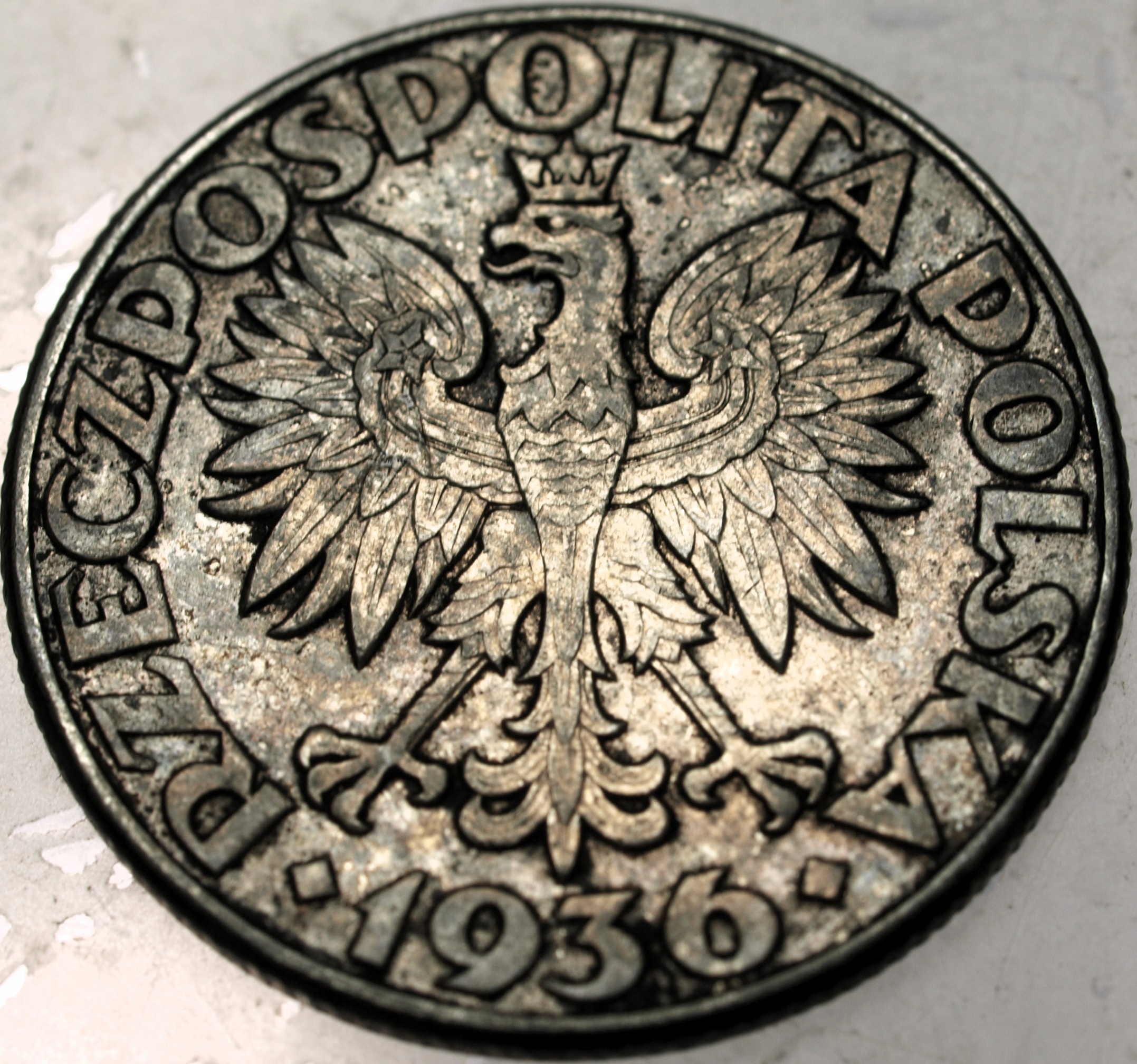 Zdjęcie 18528106559_1