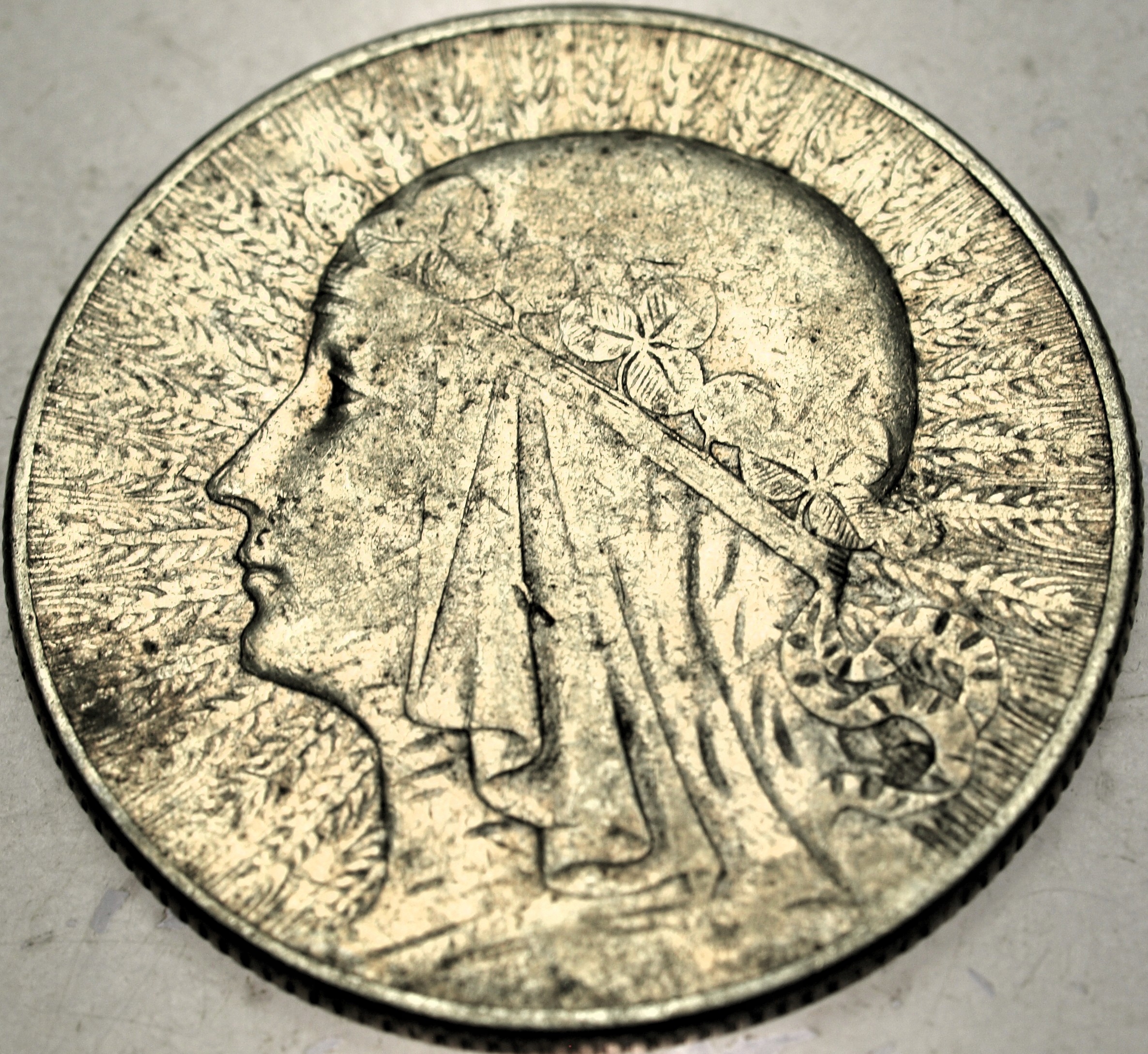 Zdjęcie 18528113501_0