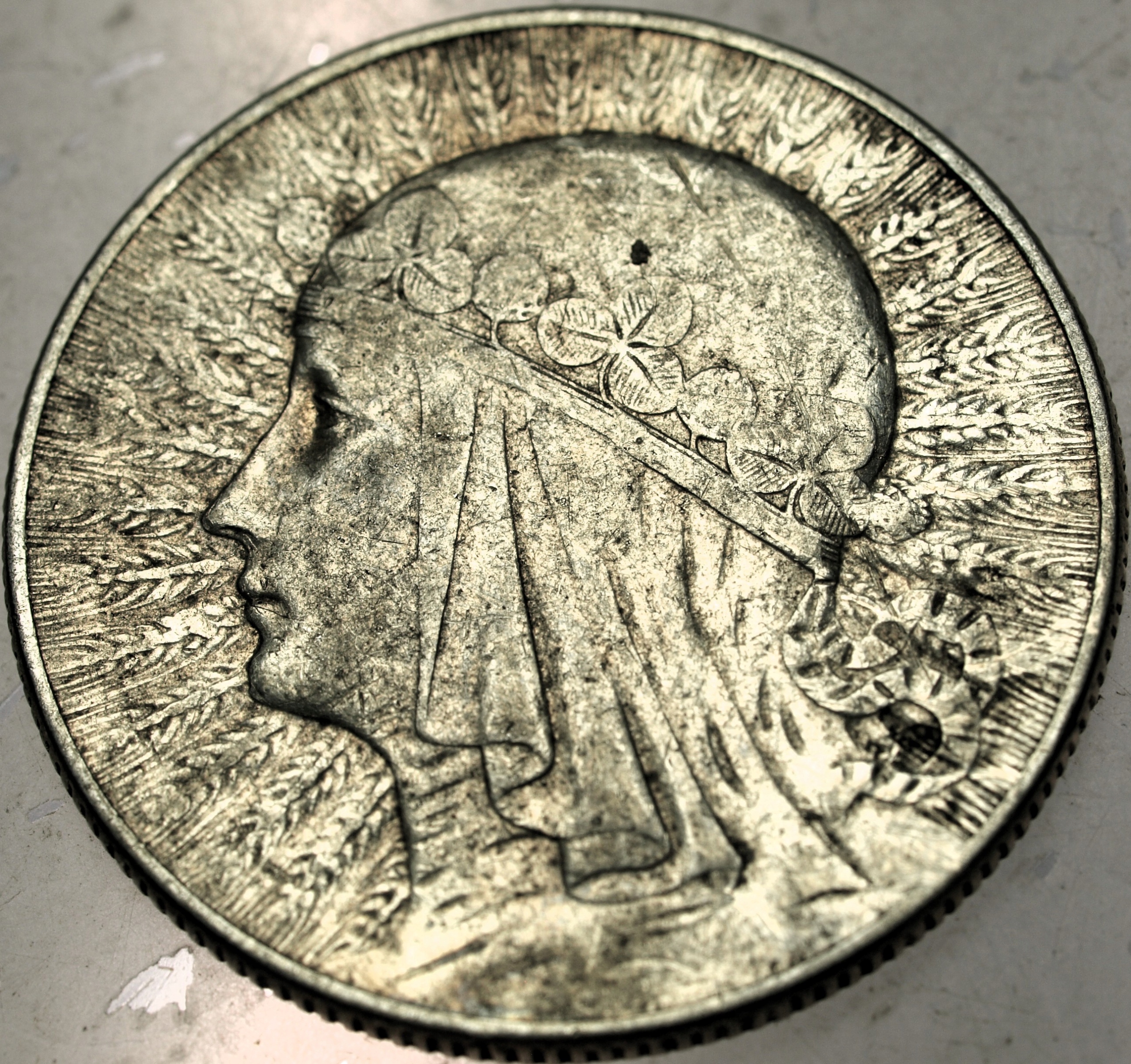 Zdjęcie 18528115694_0