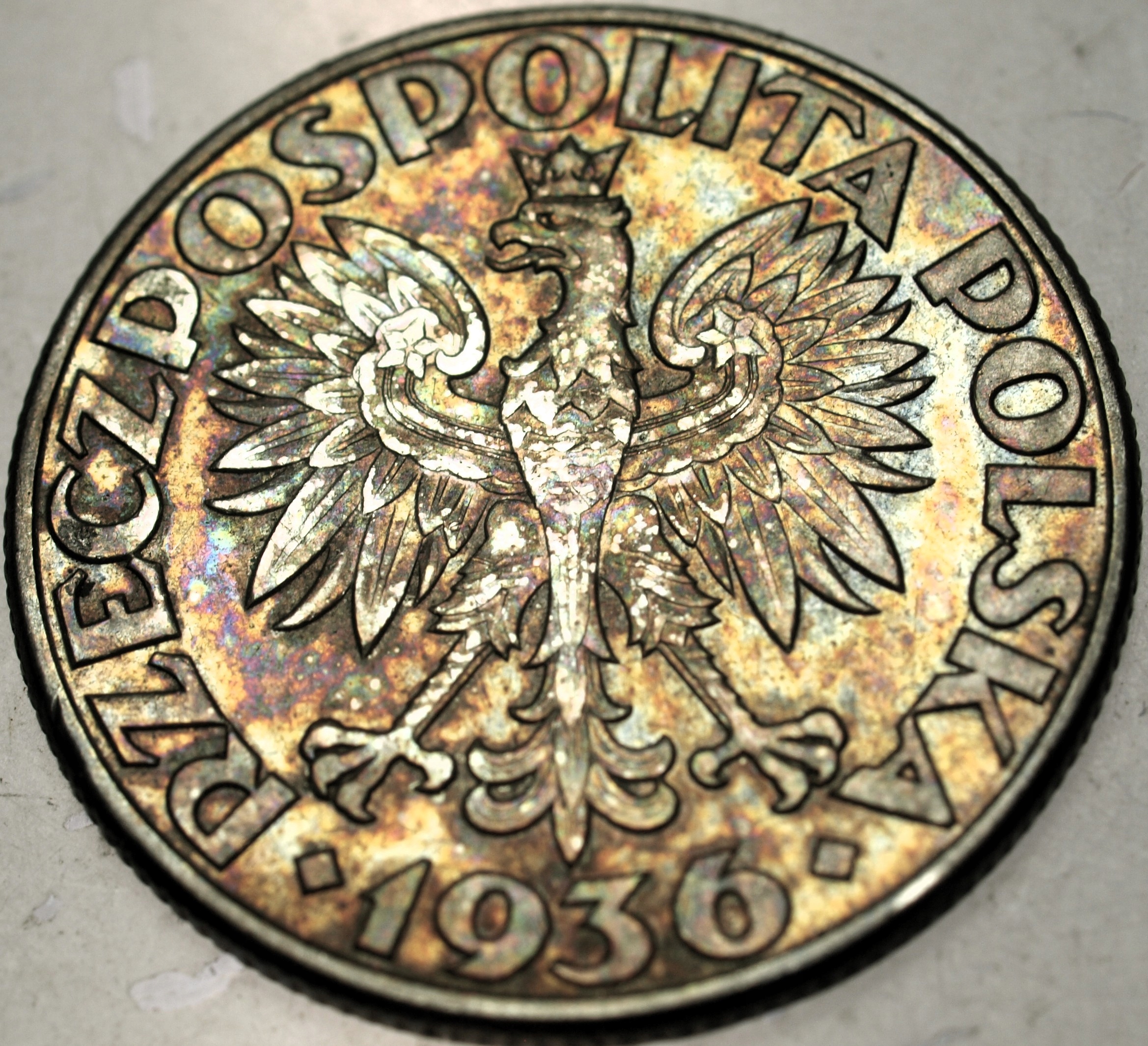 Zdjęcie 18541916954_1