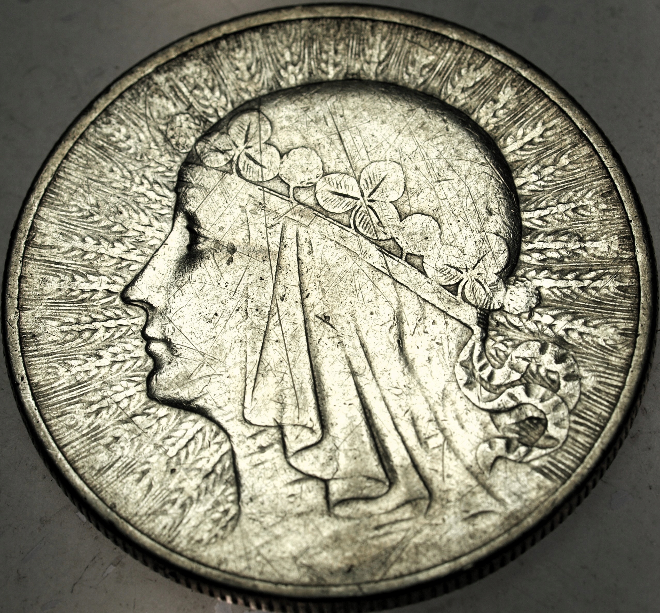 Zdjęcie 18541931493_0