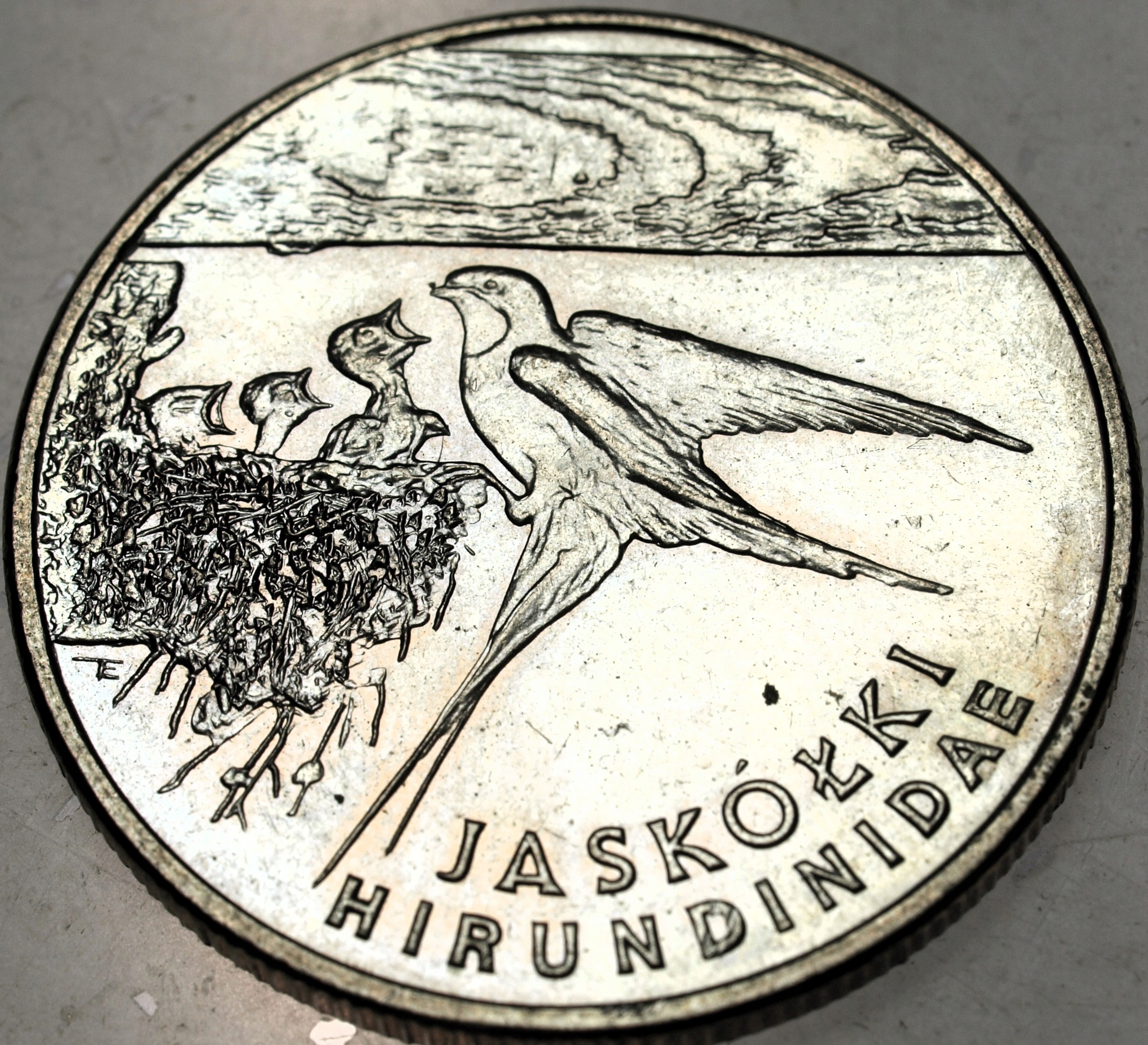 Zdjęcie 18541967931_0