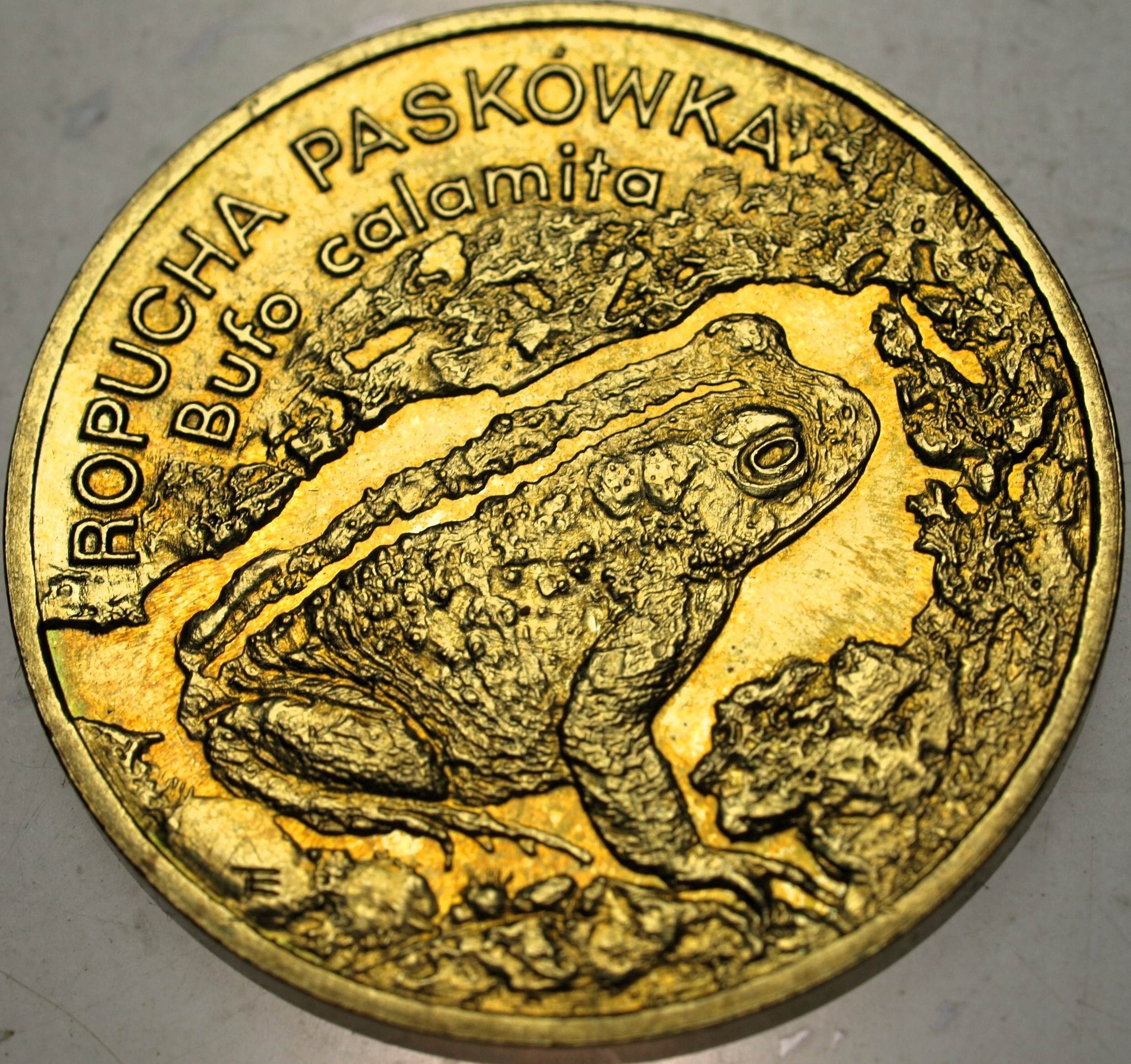 Zdjęcie 18545216800_0