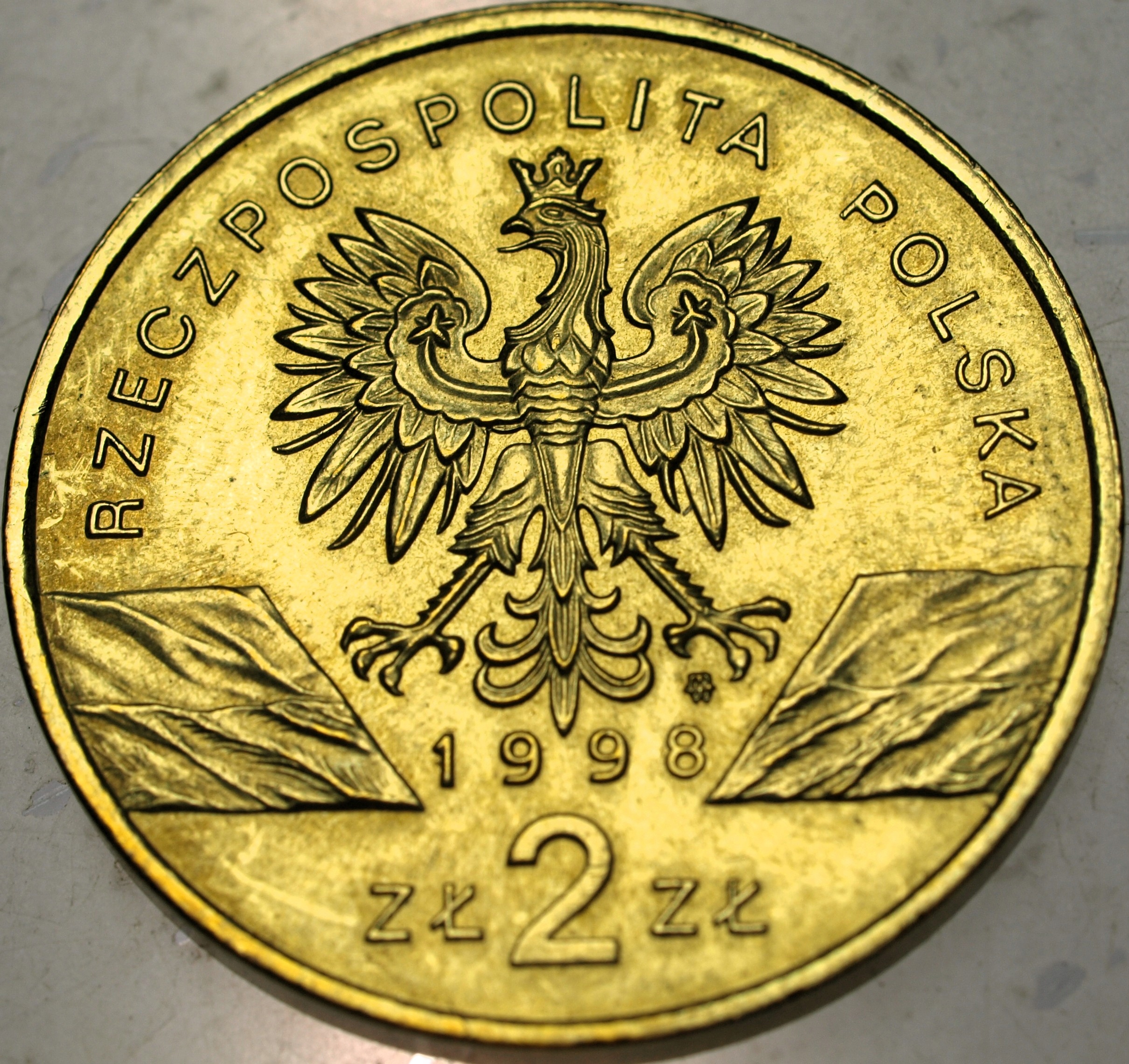 Zdjęcie 18545216800_1