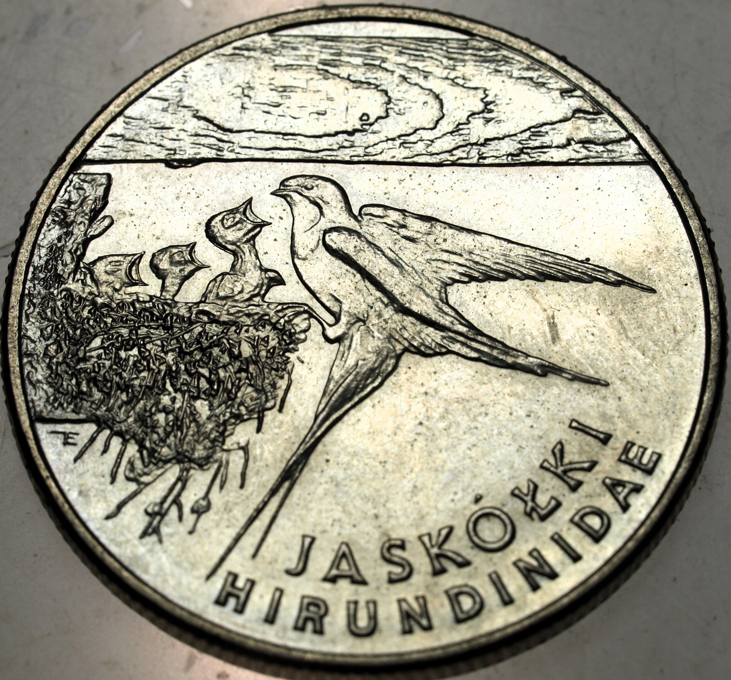 Zdjęcie 18545264361_0